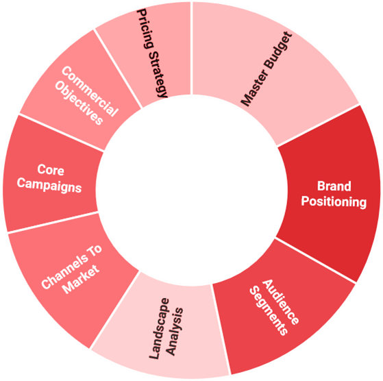 FAPI Marketing Framework™ Strategy Frame Module