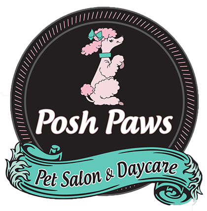 Logo for Posh Paws Pet Salon & Daycare, featuring a pink poodle with a teal bow on a black circle, with a teal banner.