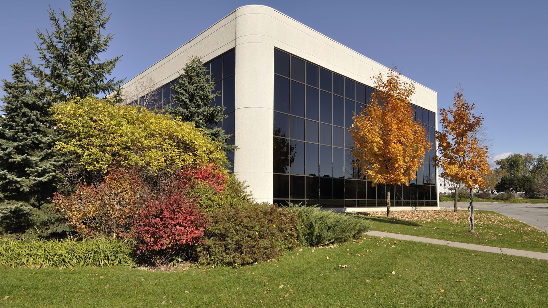 Modern office building with reflective glass, surrounded by trees and green lawn on a sunny day