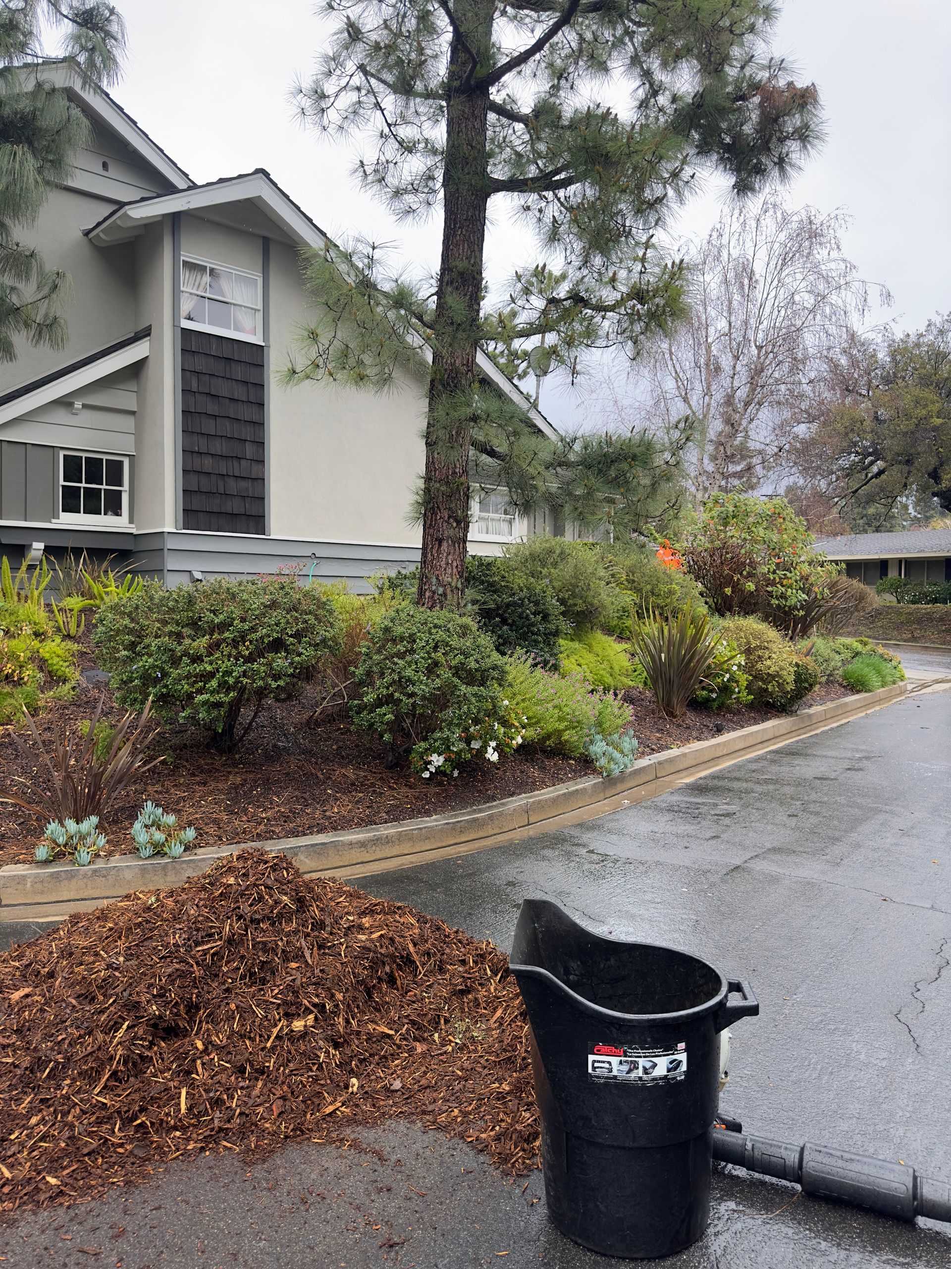 Rainy suburban street with a black trash bin, leaf pile, and landscaped house front.