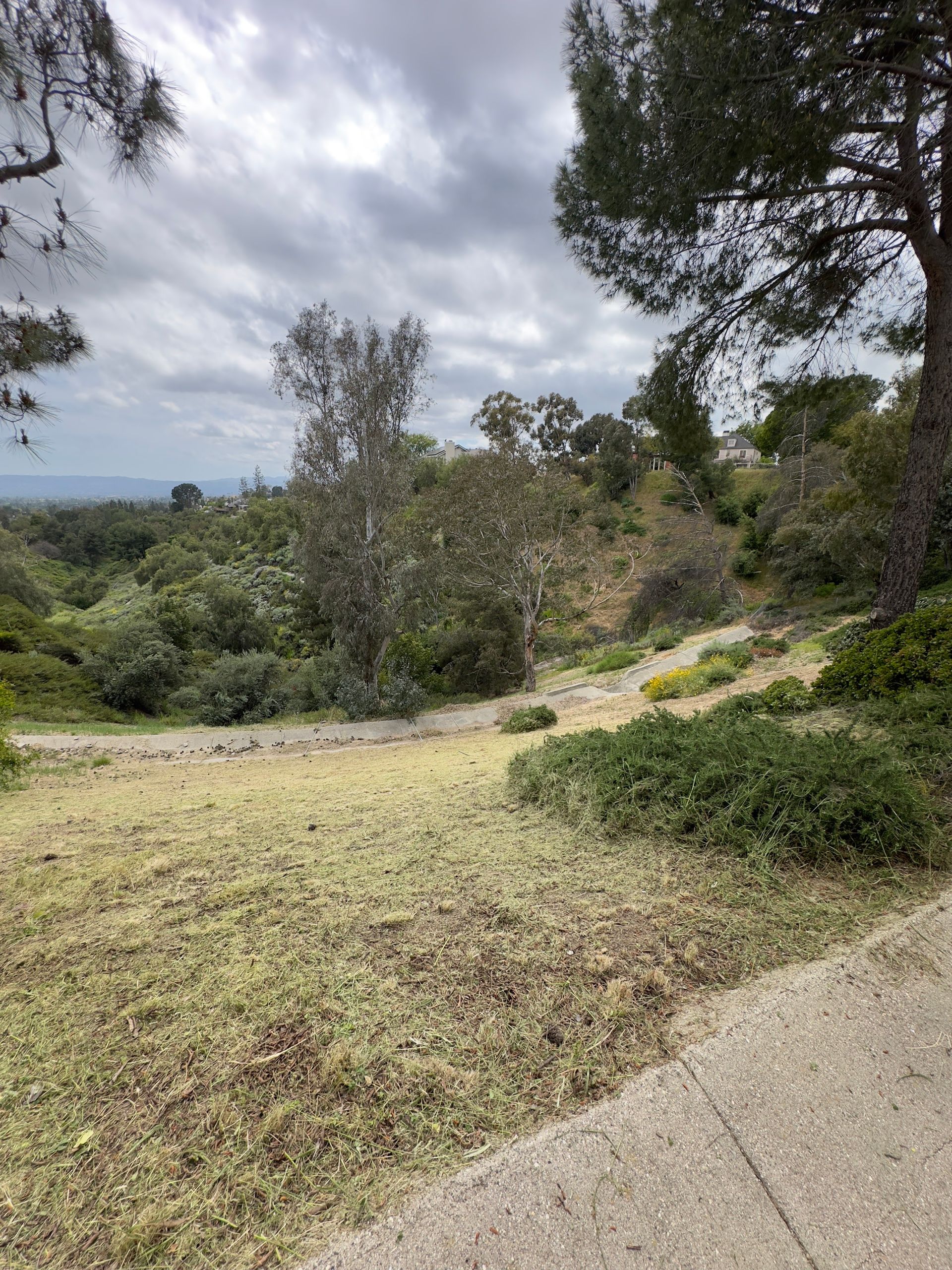 Grassy hillside path beside trees and shrubs under a cloudy sky