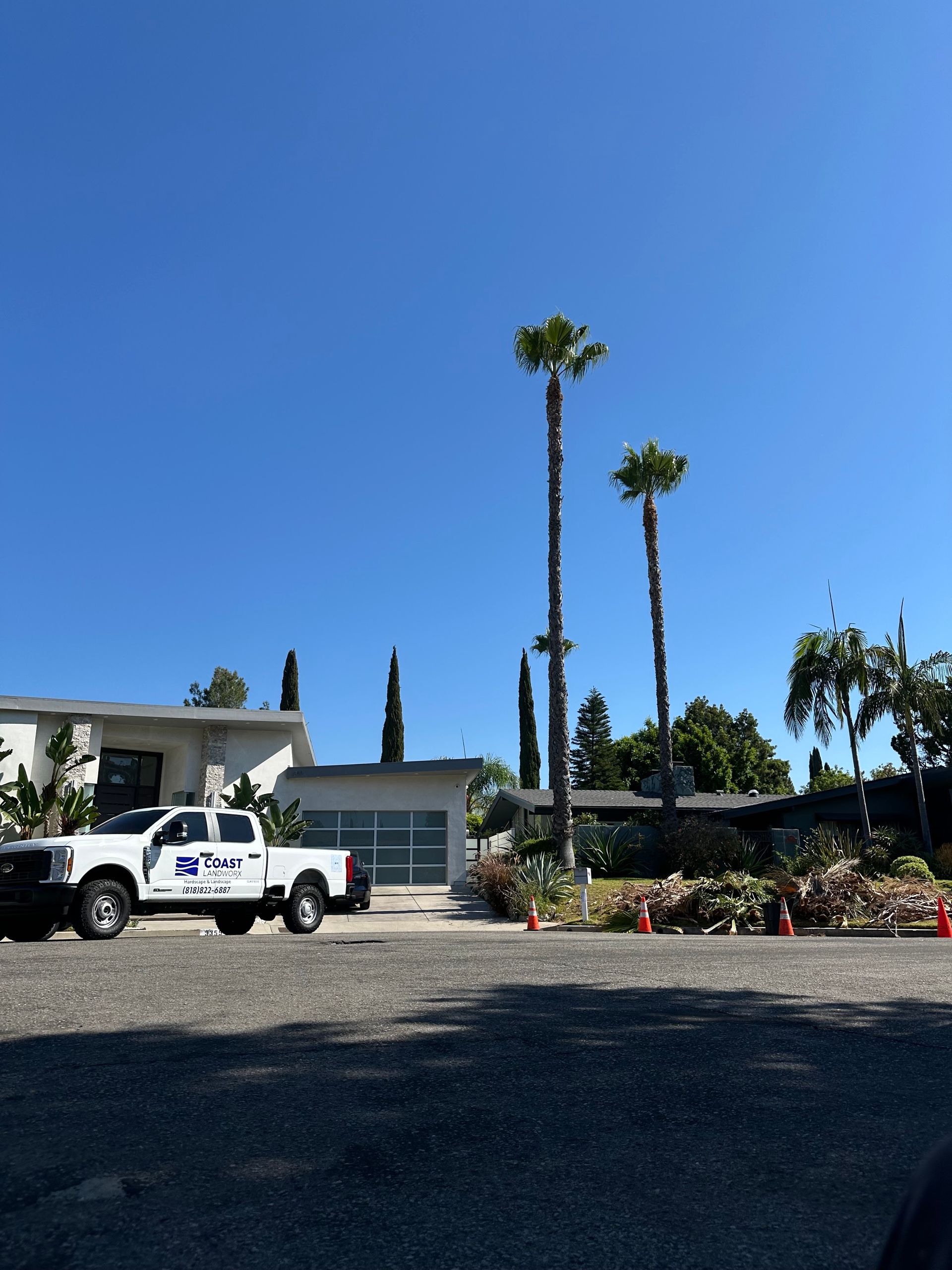 White pickup truck parked by a modern building and landscaped flower bed under tall palm trees.