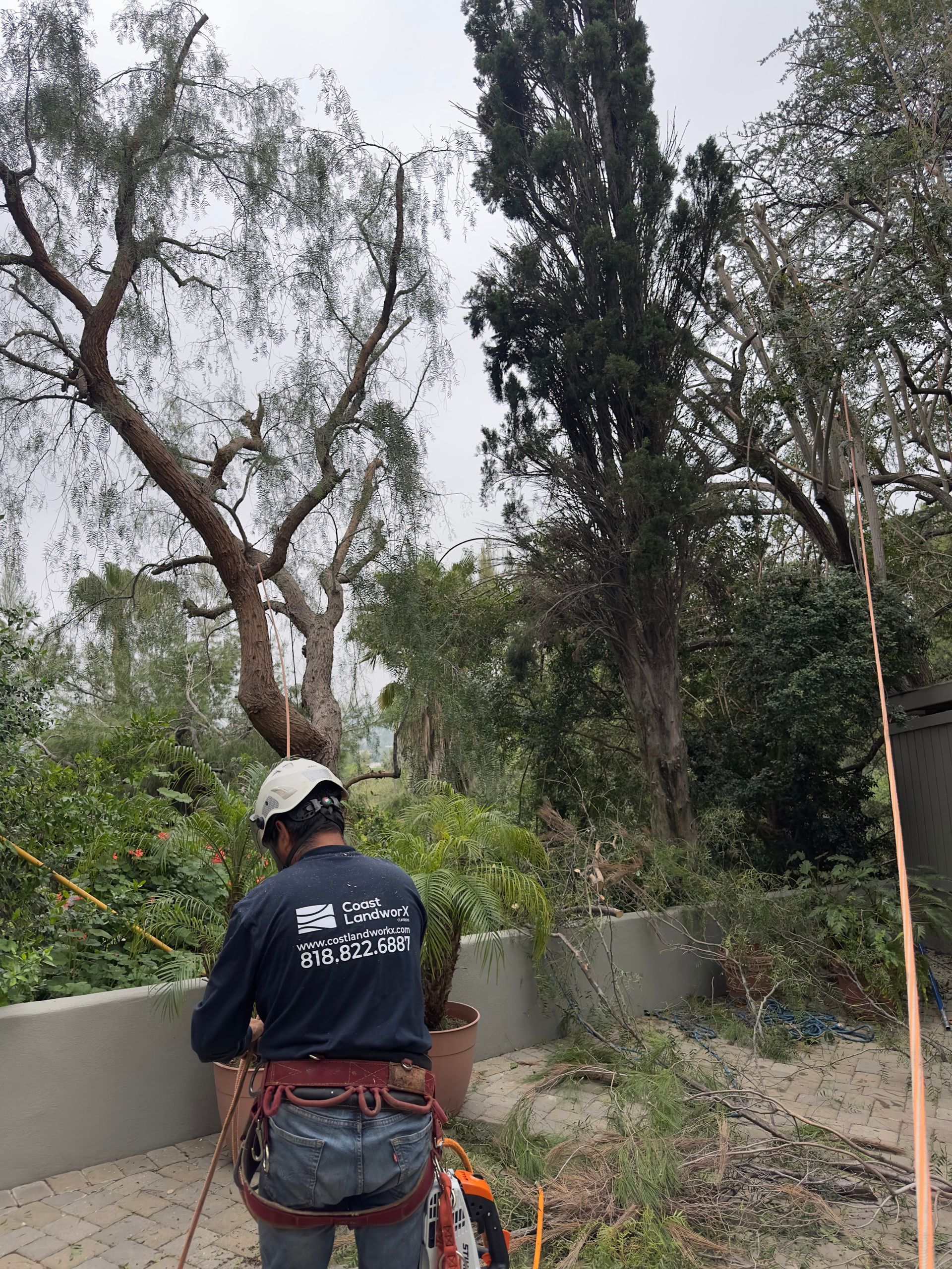 Worker in a white helmet stands in a wooded area near concrete barriers and equipment.