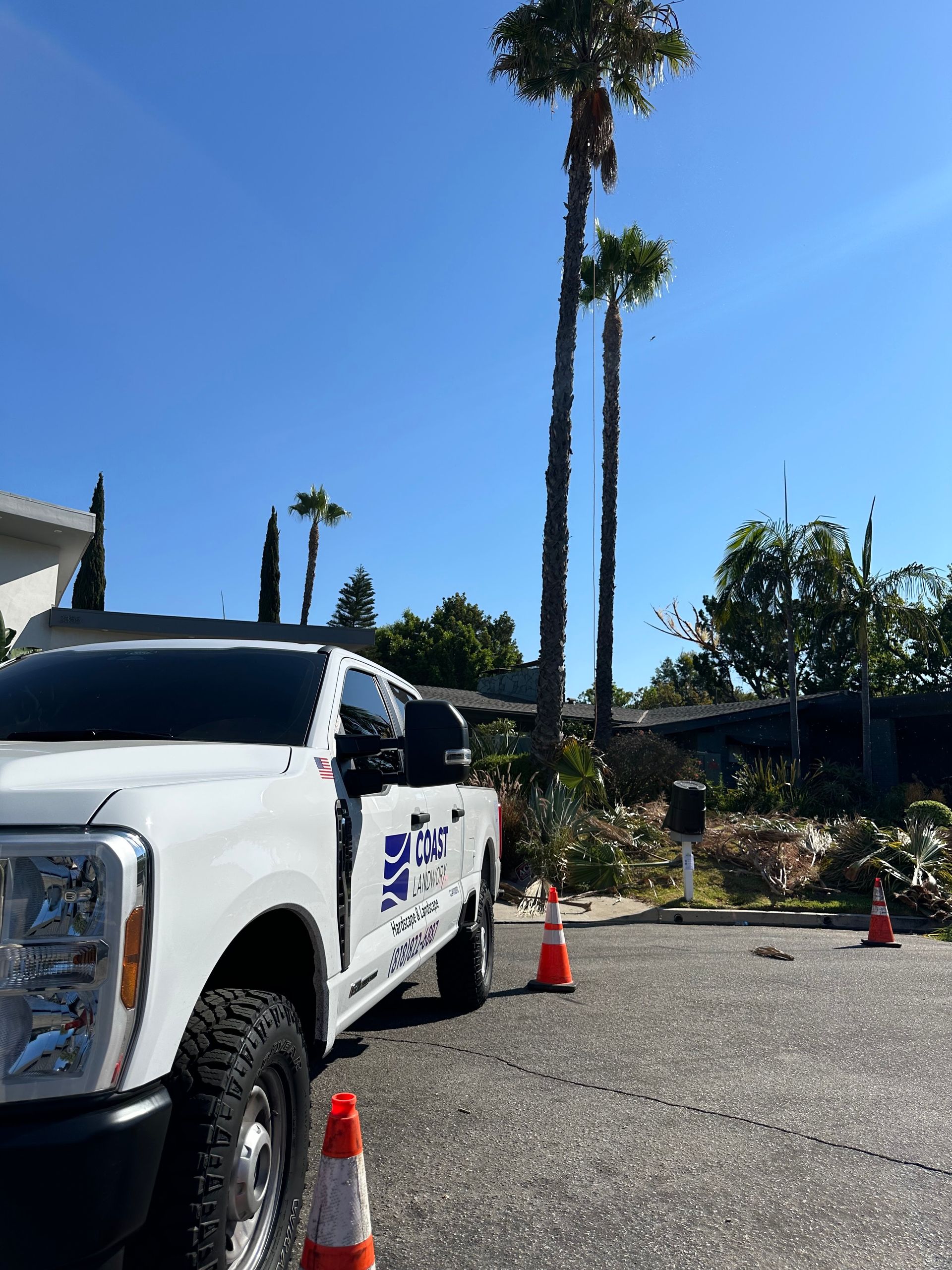 White SUV parked by orange cones on a gravel lot under tall palm trees and blue sky