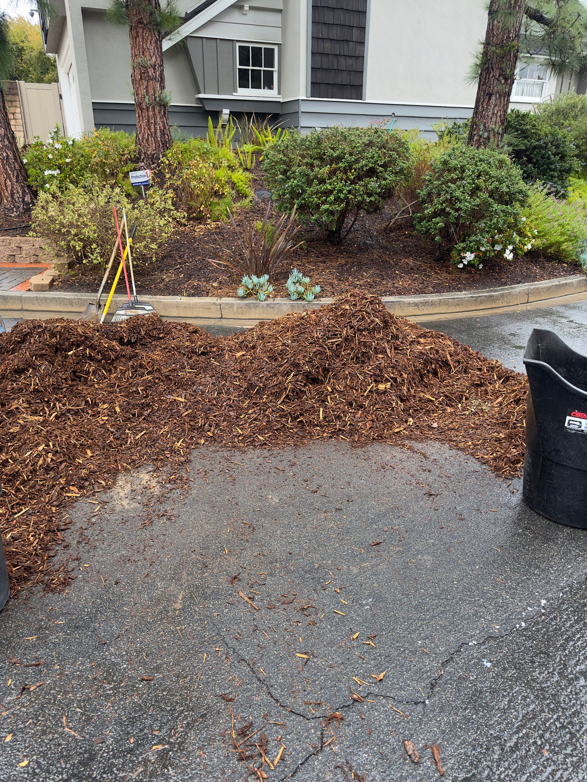 Large pile of wet brown leaves on asphalt beside a landscaped curb and shrubs in front of a house