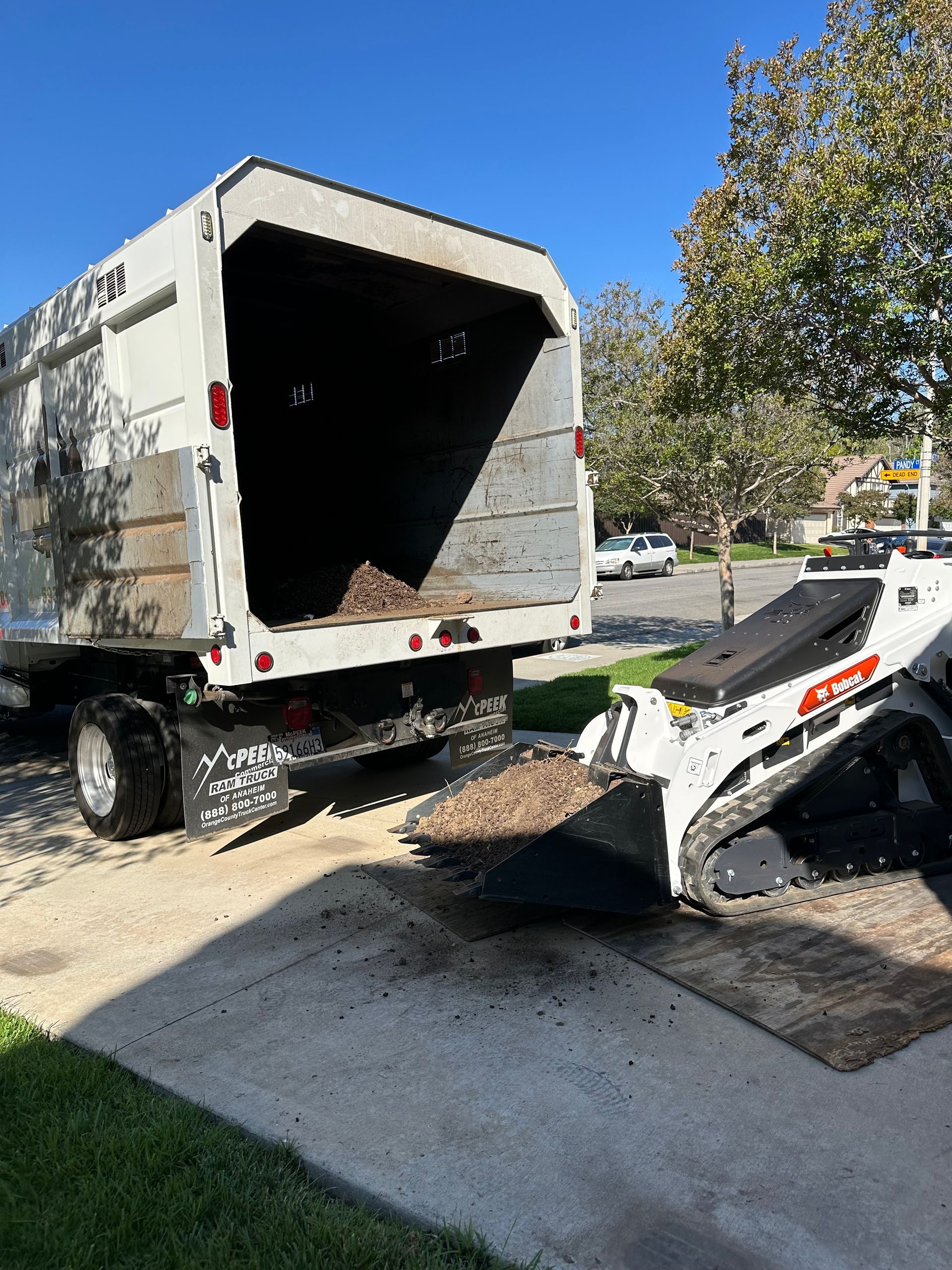 Dump truck unloading asphalt near a skid steer on a street, with a tree-lined sidewalk nearby