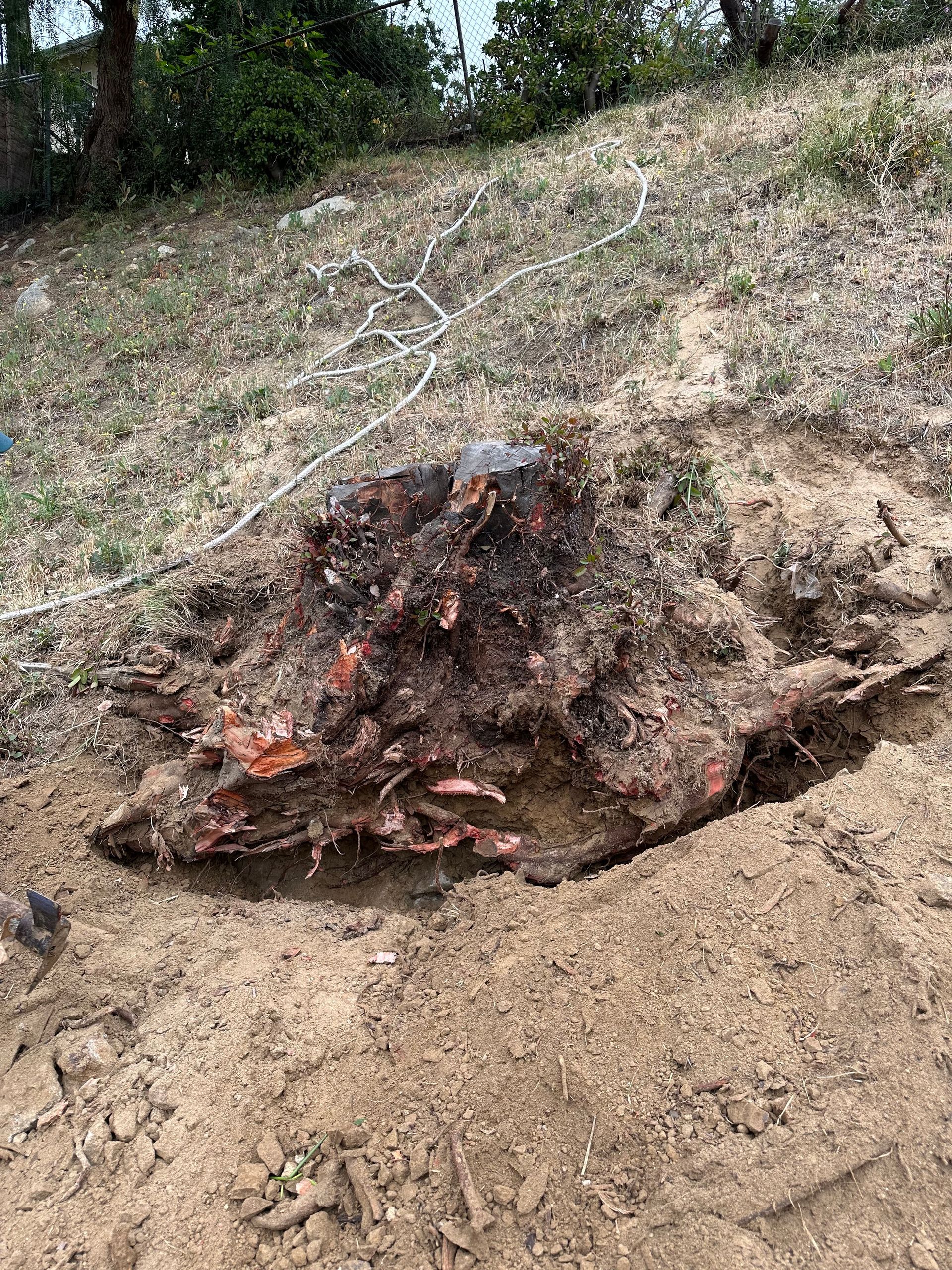 Burned debris and ashes in a dirt area beside dry grass and trees
