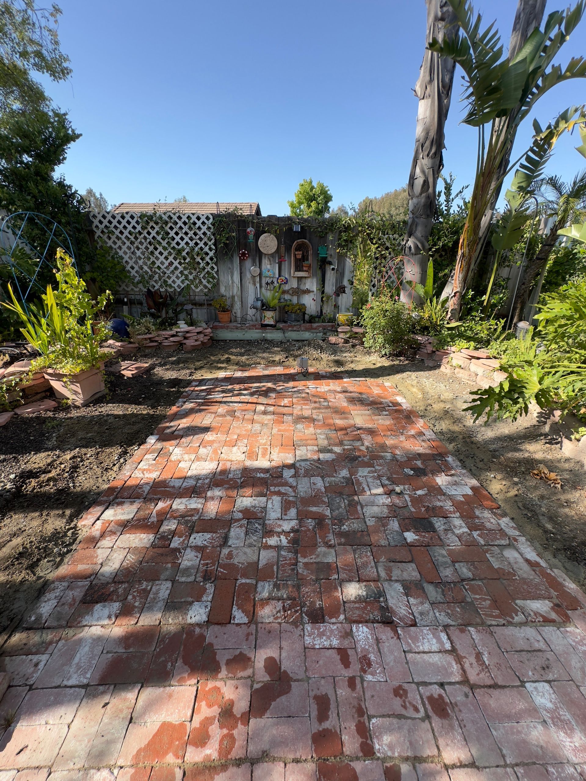 Brick garden path leading to a vine-covered gate, with plants and palm trees on both sides under a blue sky