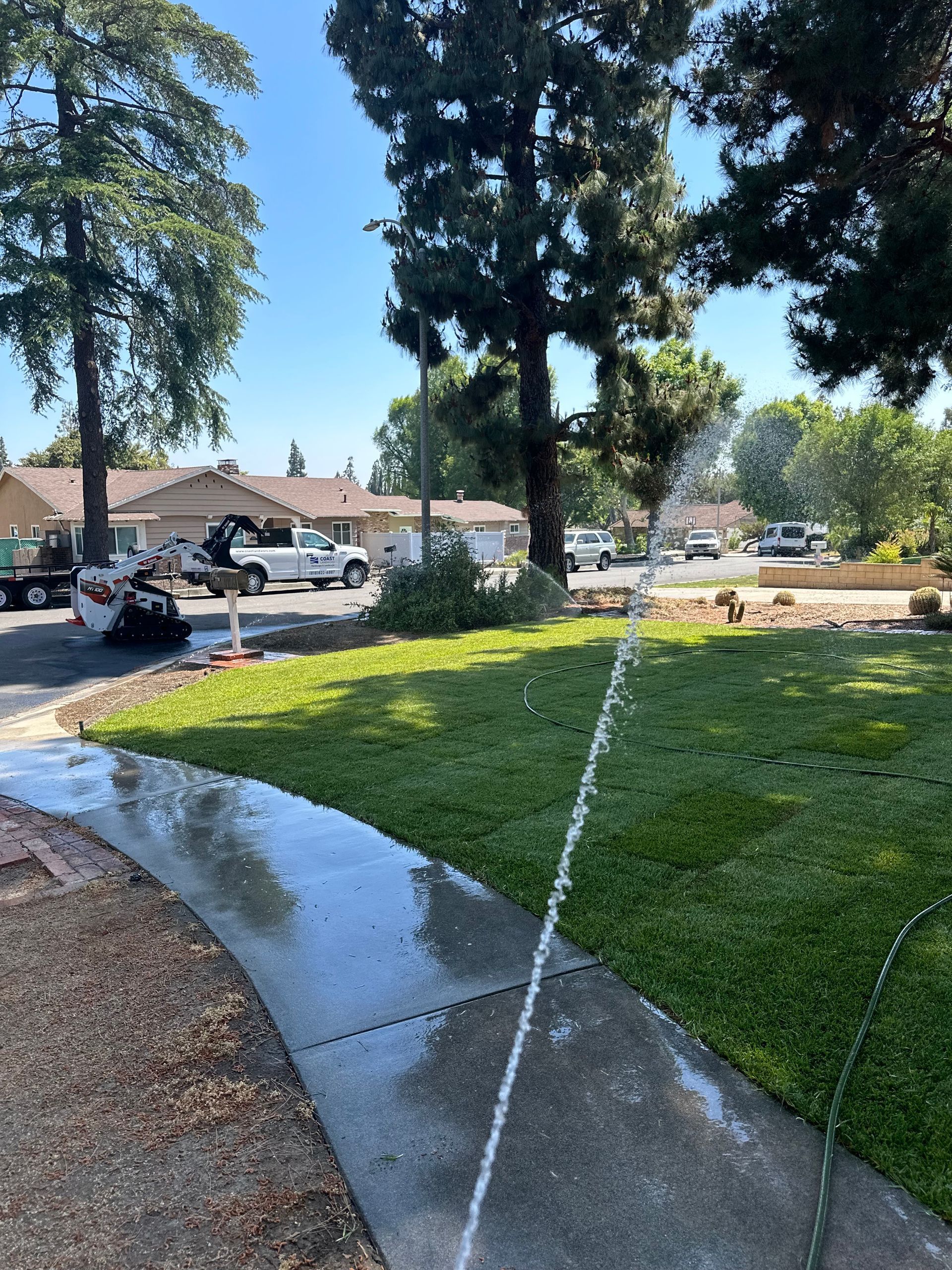 Water sprinklers spray across a grassy park beside a paved path under tall trees.