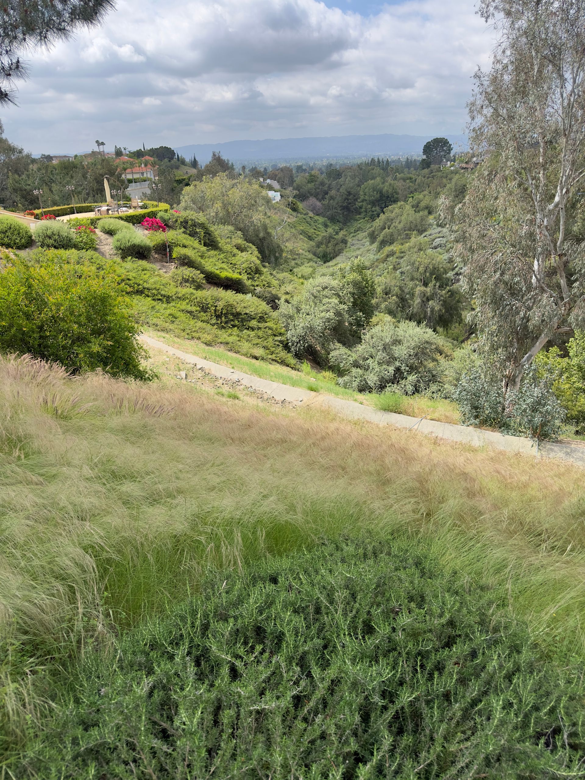 Lush green hillside garden with shrubs, wild grasses, and distant trees under a cloudy sky