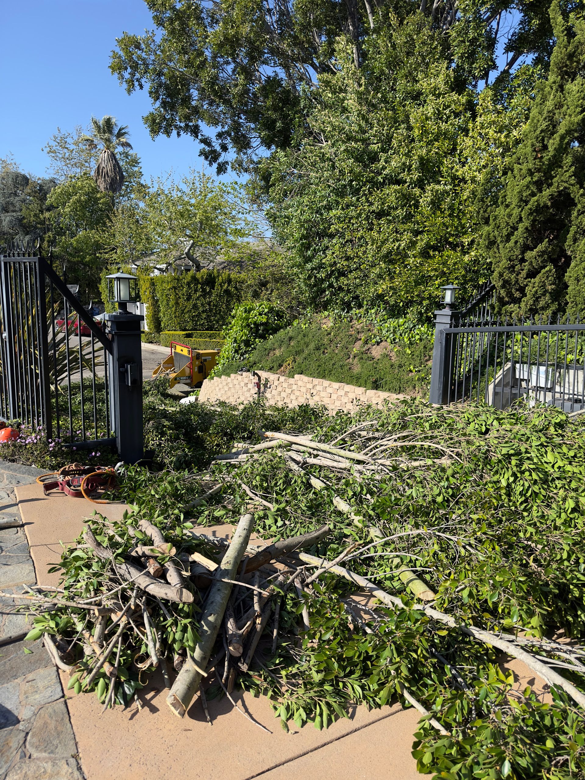 Garden gate blocked by fallen branches and debris, with trees and shrubs in the background.