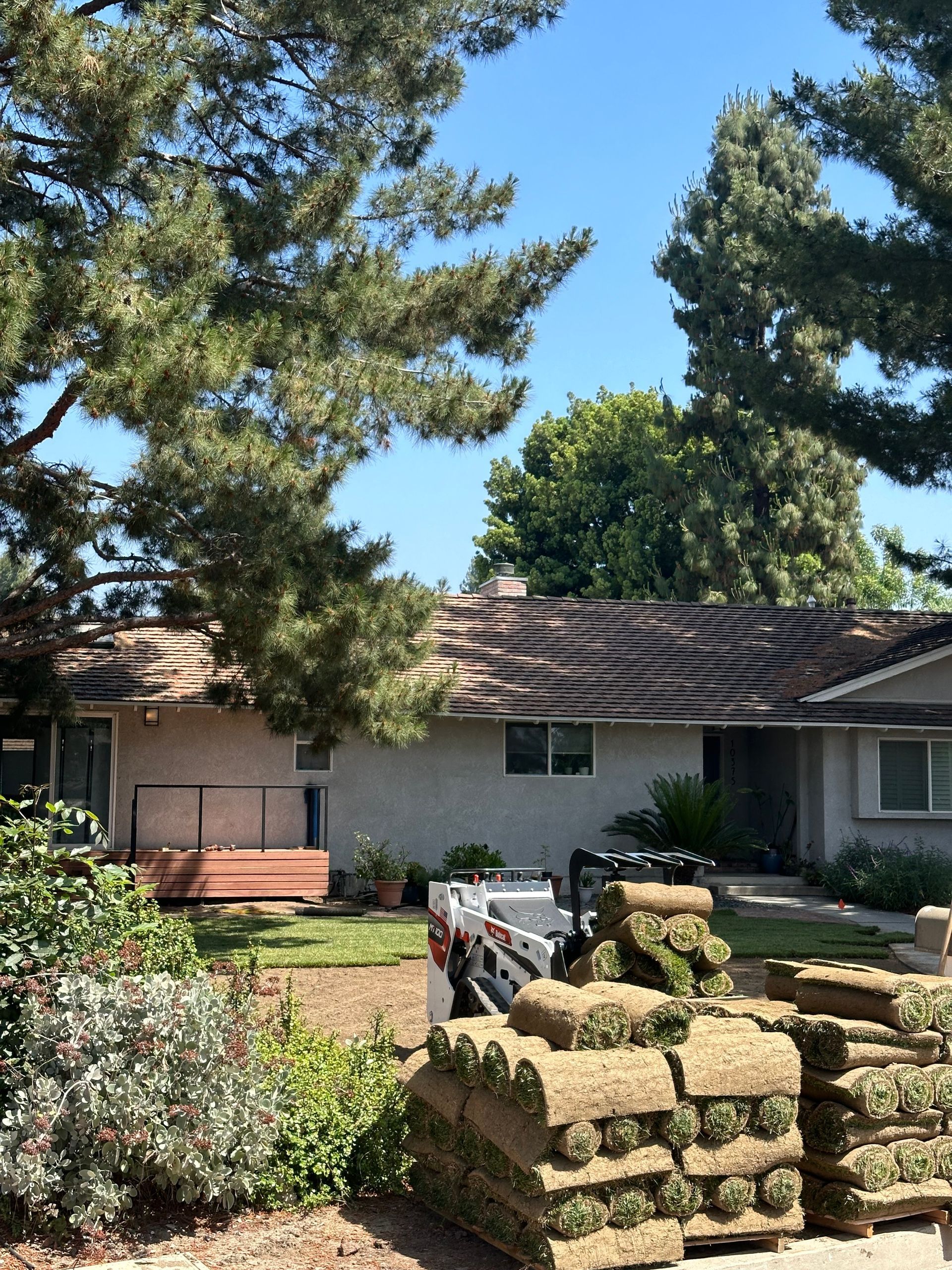 Suburban house with large trees, hedges, and a brick walkway in a sunny front yard
