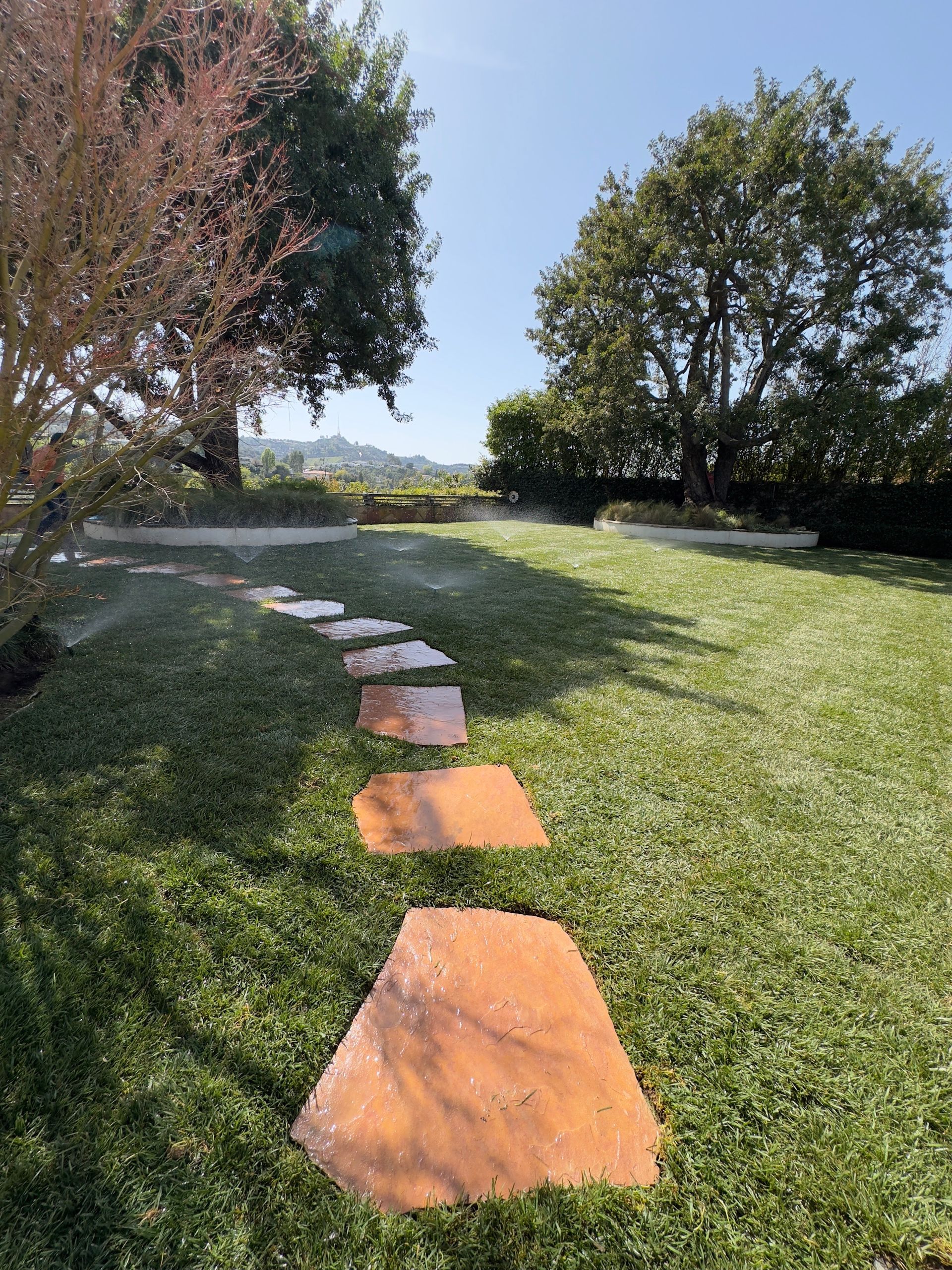 Stepping-stone path through green grass under trees on a sunny day
