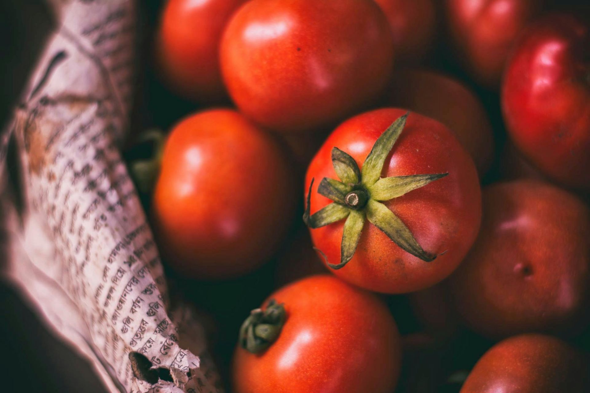 Red tomatoes, some with green stems, in a newspaper-lined basket.
