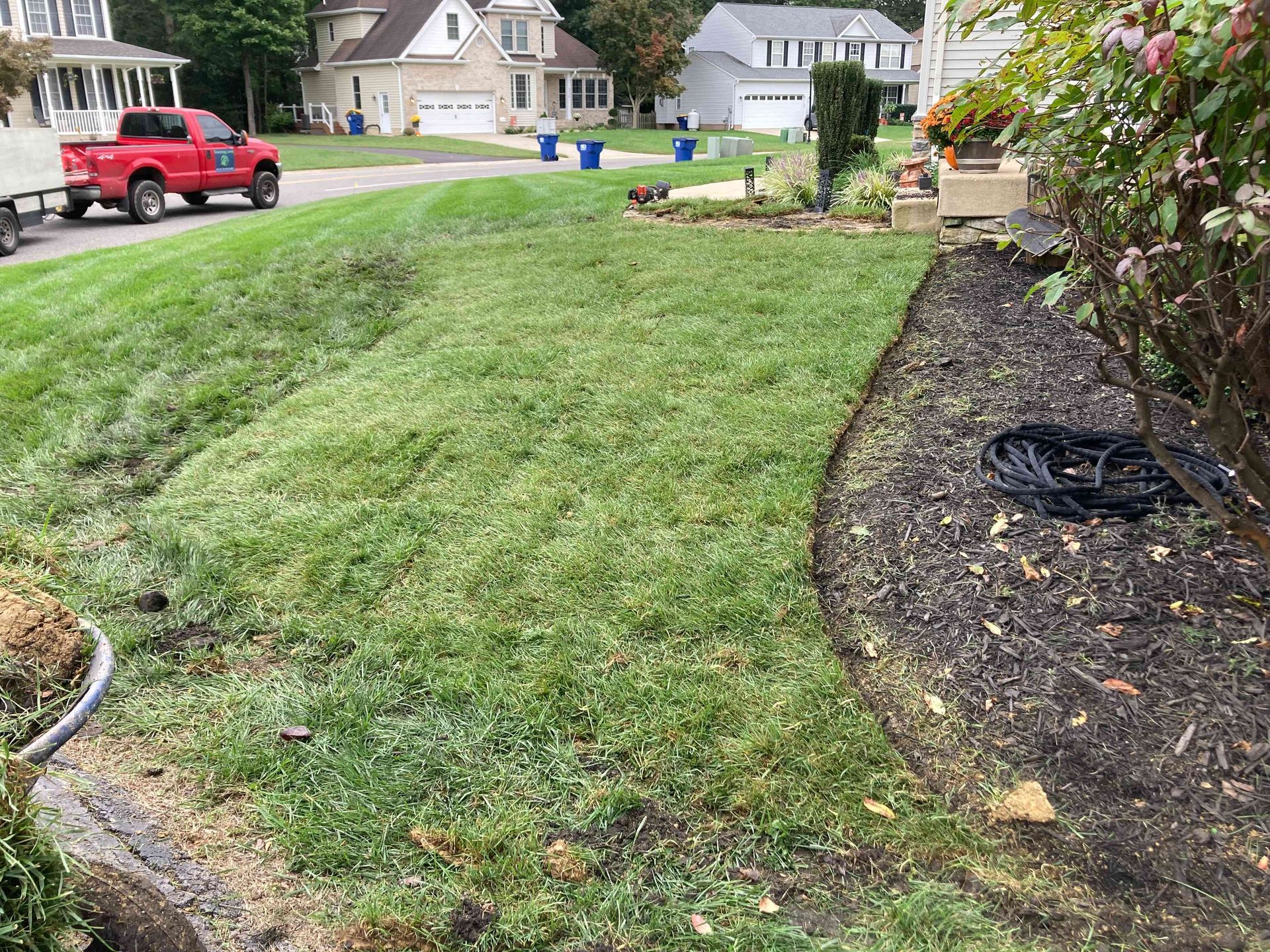 Front yard with freshly cut grass, curved mulch bed, red truck parked on the street, and houses in the background