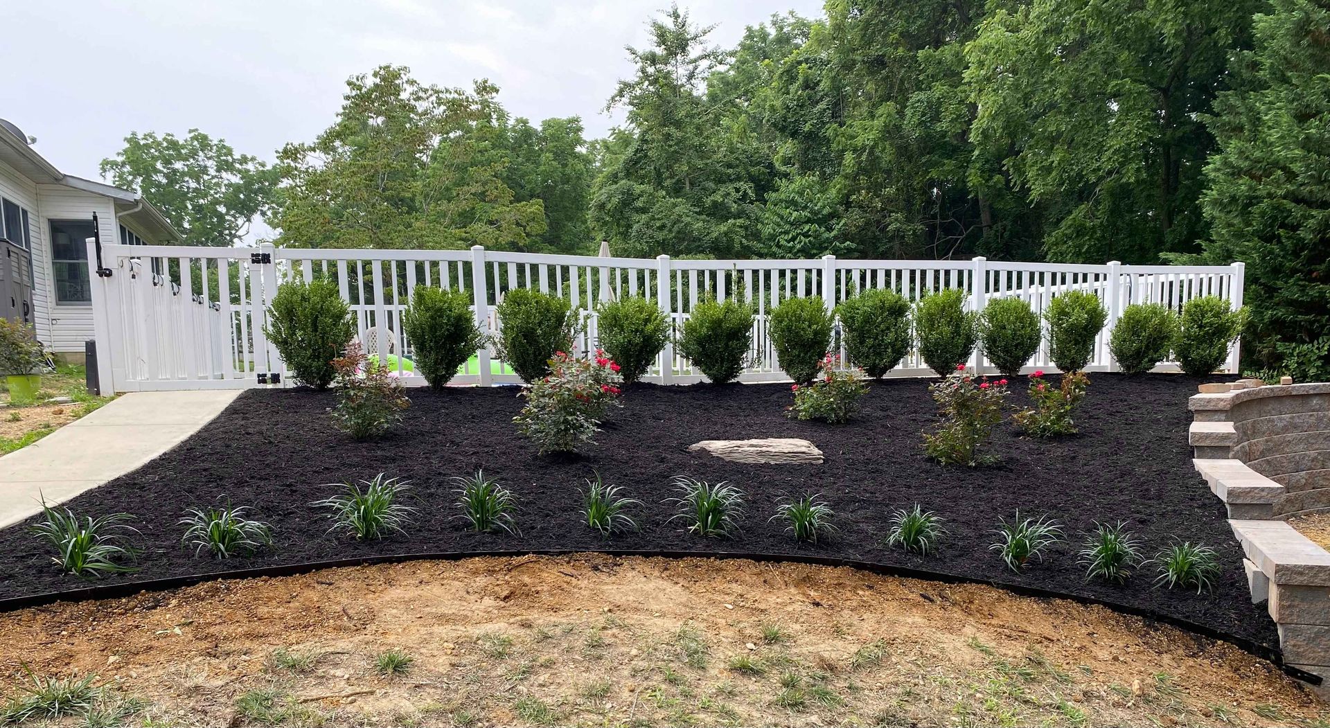 Landscaped front yard with dark mulch, shrubs, and a white picket fence