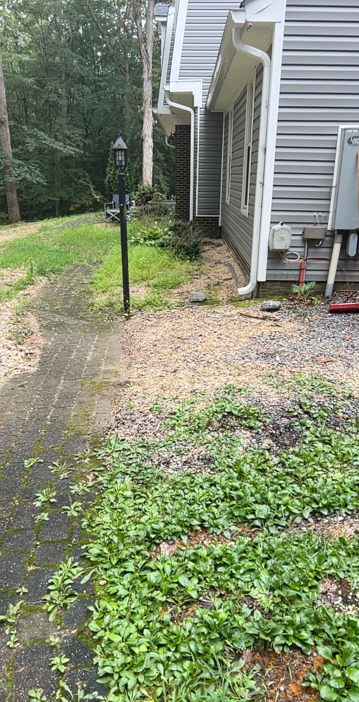 Narrow side yard beside a gray house, with gravel path, green groundcover, and a black lamp post.