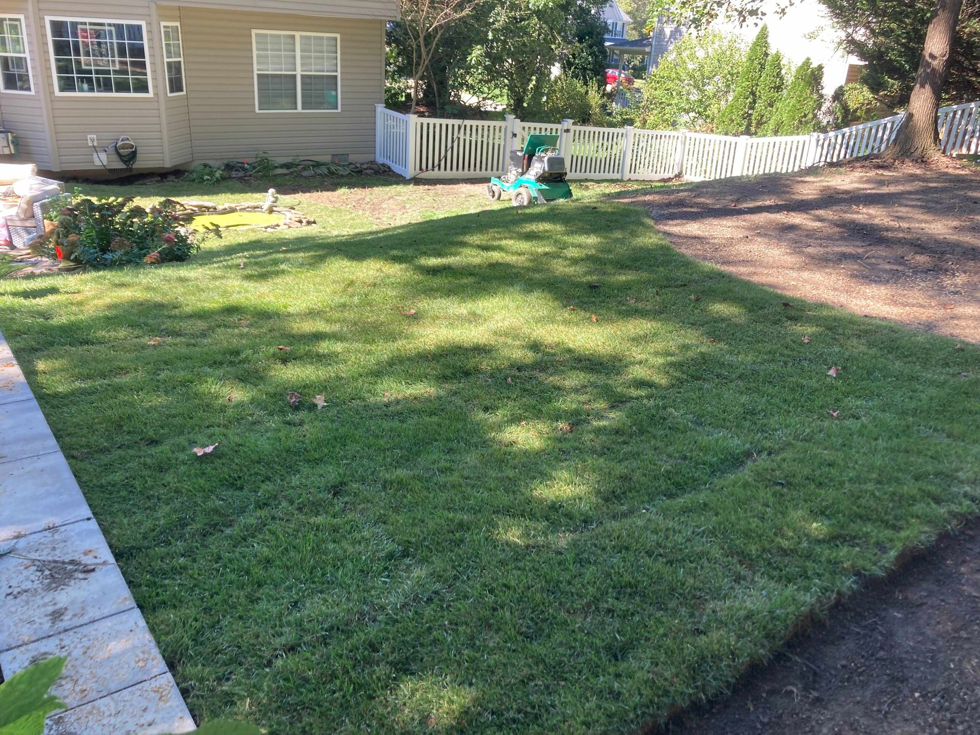 Sunny backyard lawn beside a house with a small porch and fence, shaded by trees