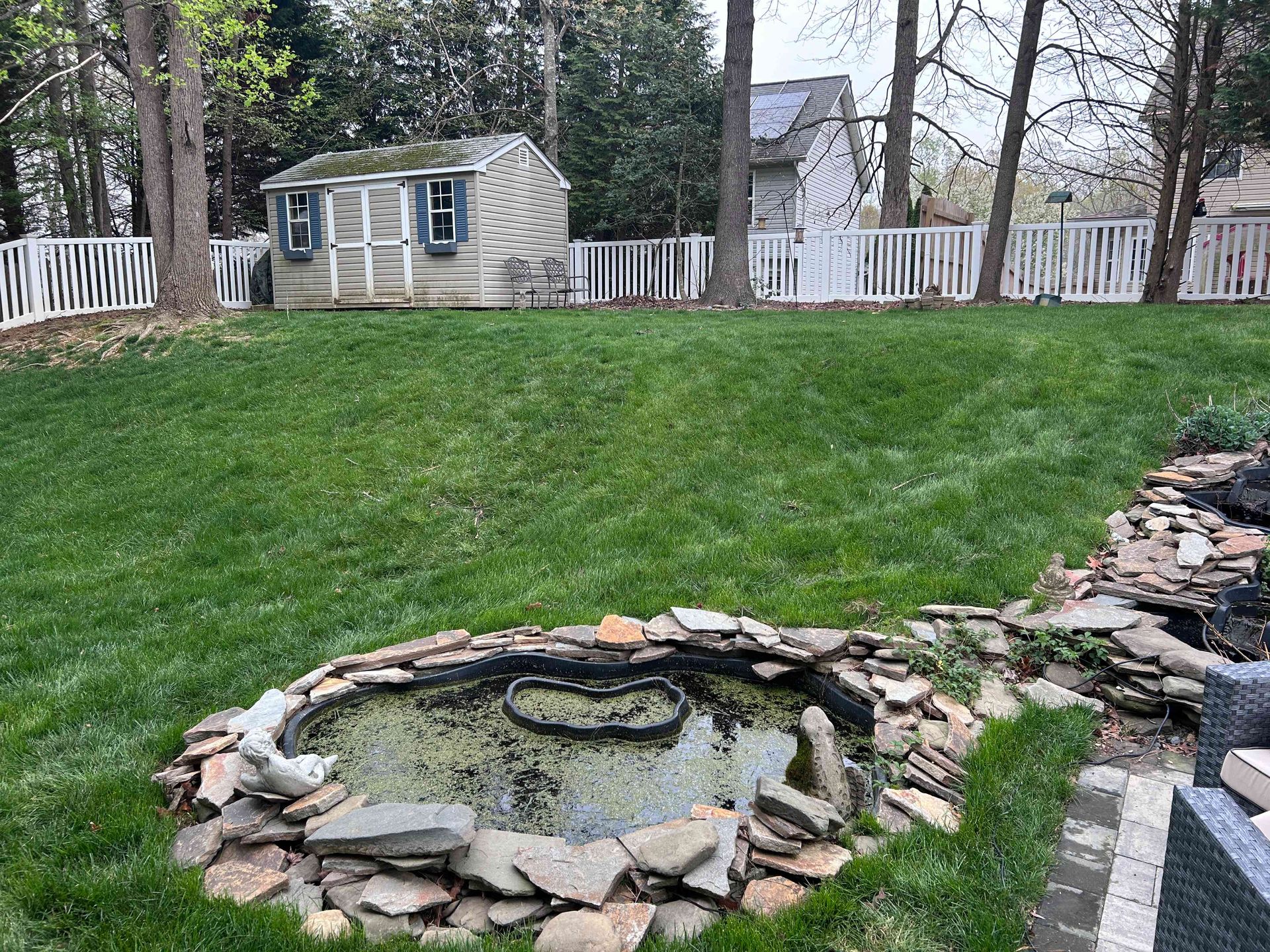 Backyard with a grassy lawn, small stone pond, white fence, and shed in the background