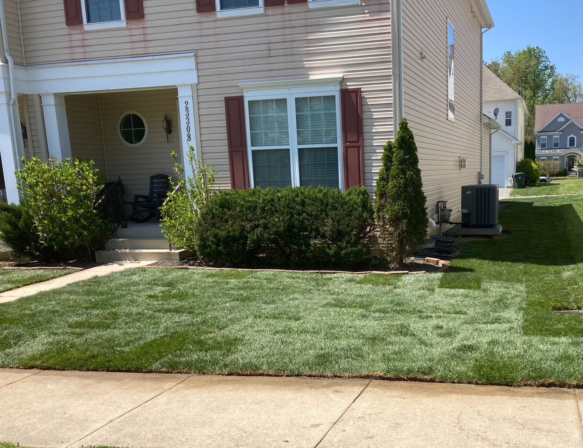 Suburban house front yard with trimmed shrubs, green lawn, and a concrete sidewalk.