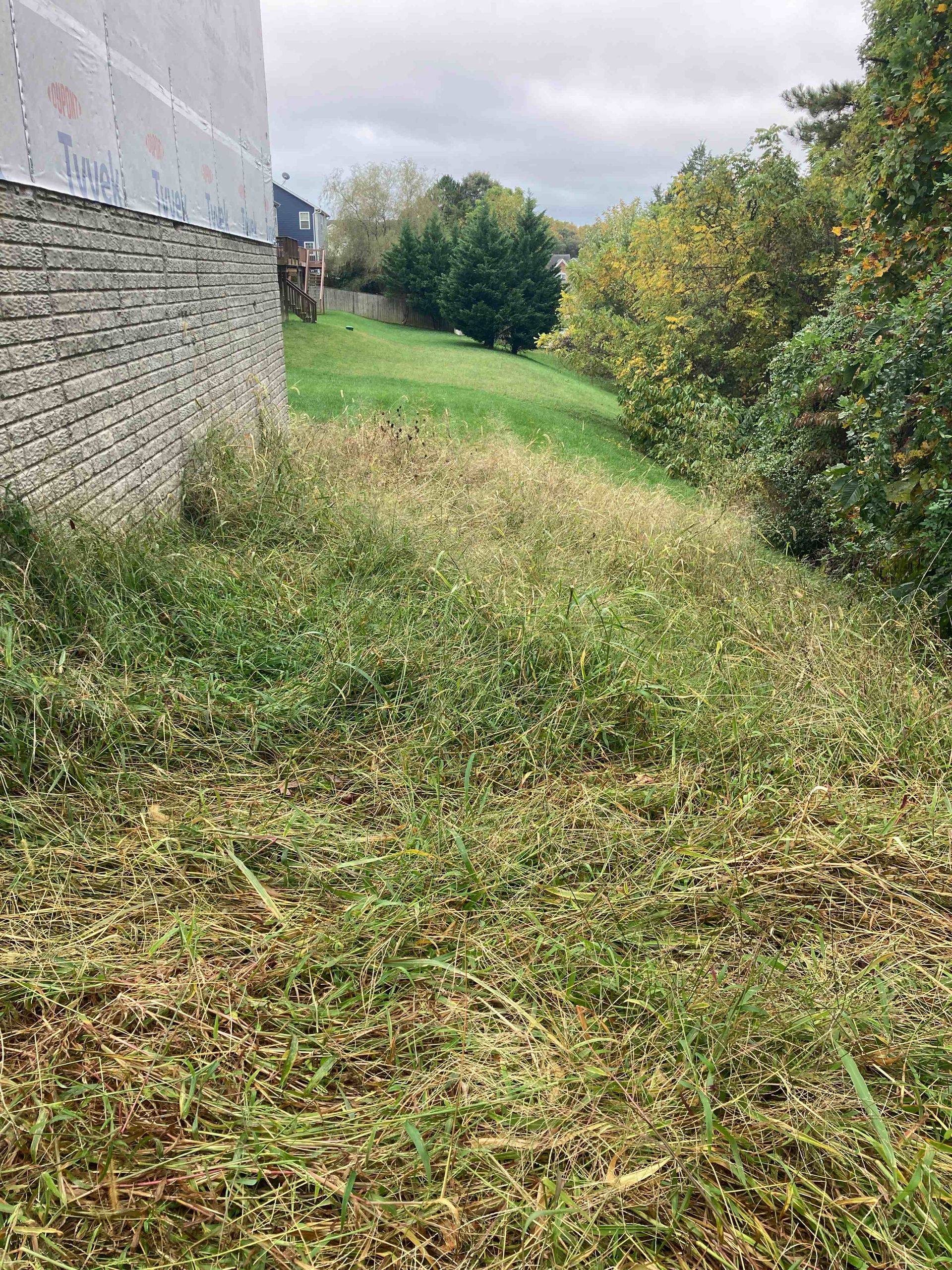 Grassy path beside a stone wall and bushes, with trees in the background.