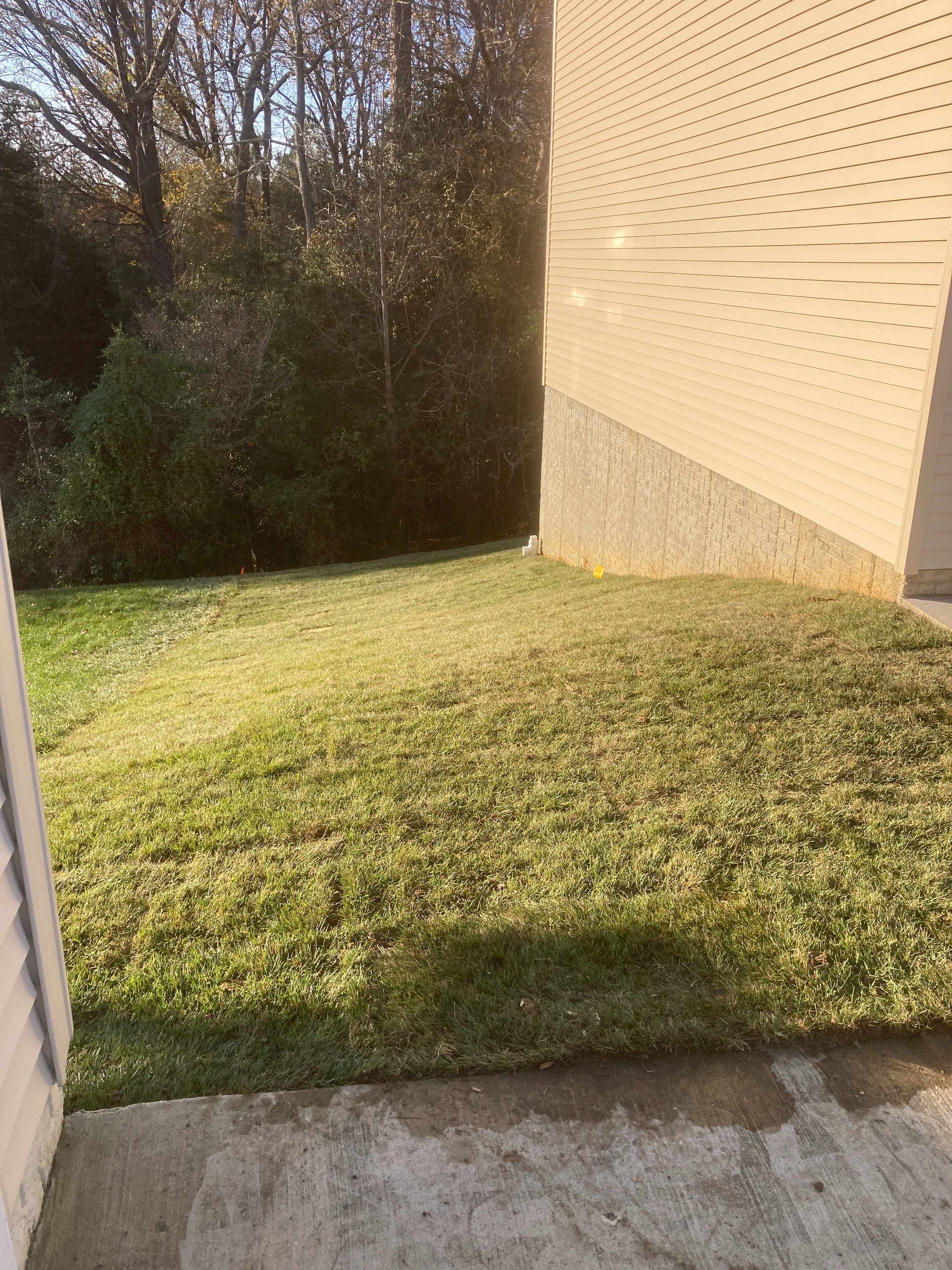 Small grassy backyard corner beside a beige house wall, with a concrete patio in the foreground.