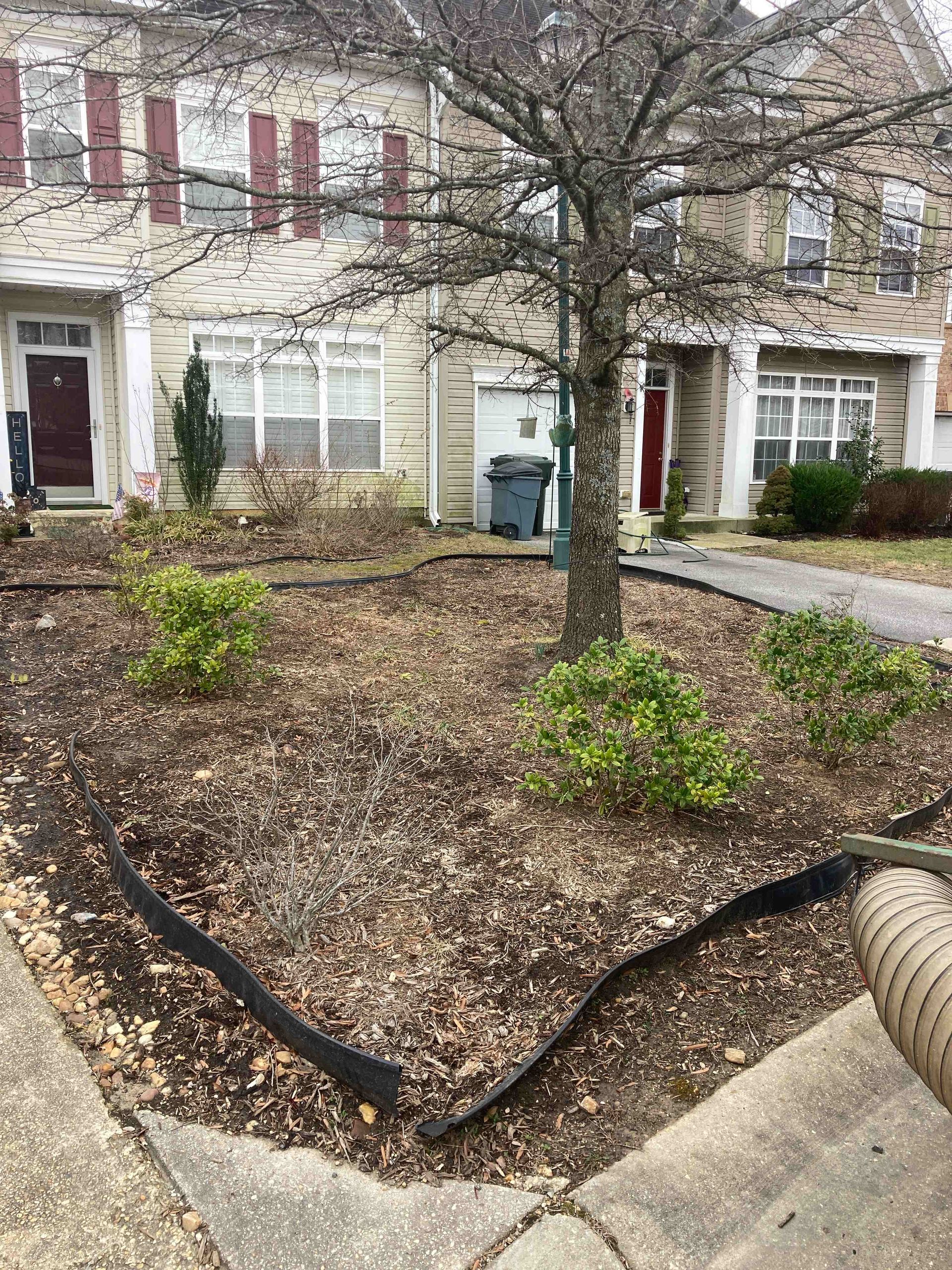 Townhouse courtyard with a leaf-covered garden bed, small shrubs, and a tree along a paved walkway.