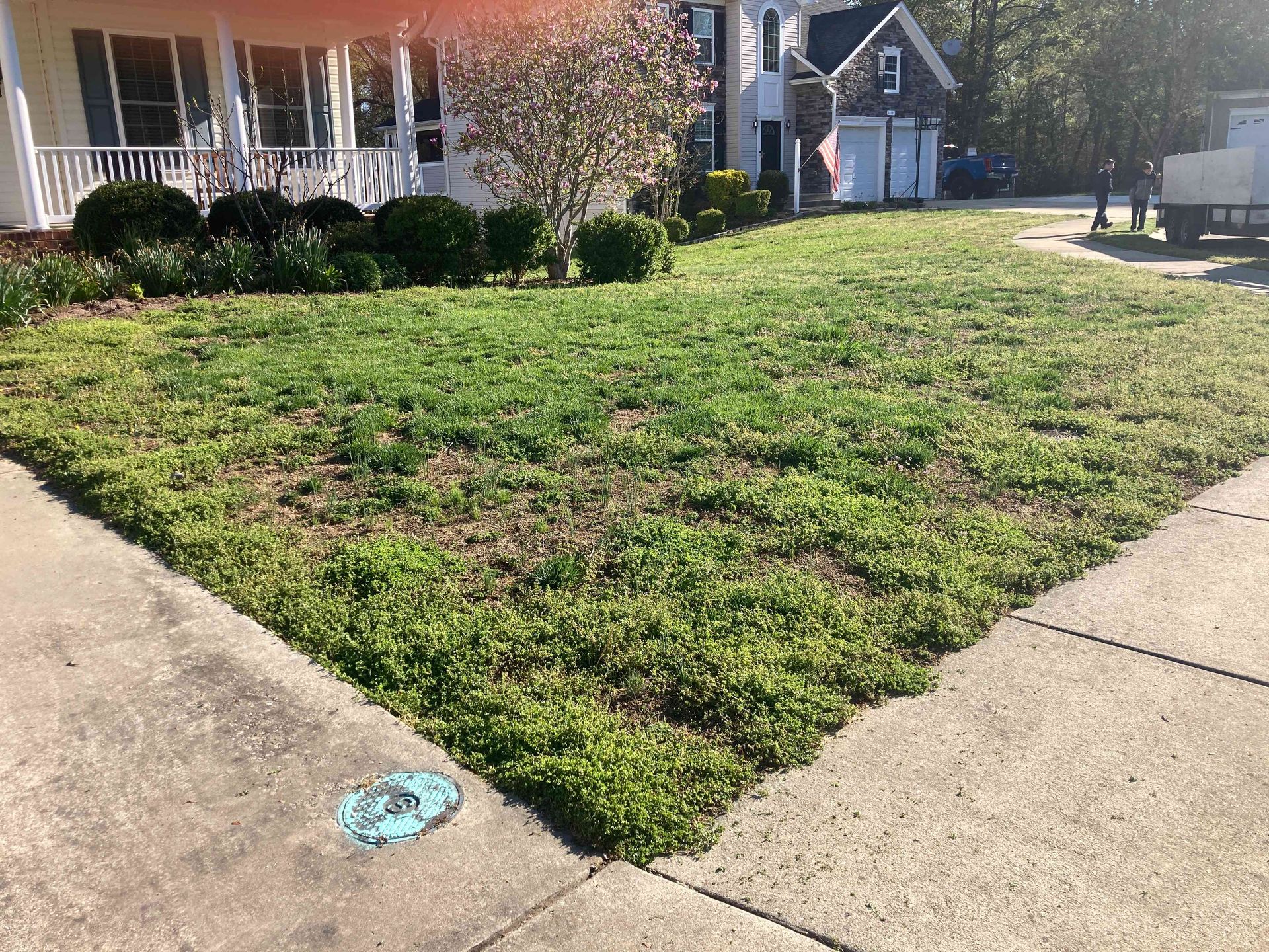 Front yard lawn bordered by concrete sidewalks, with a house and parked vehicle in the background.
