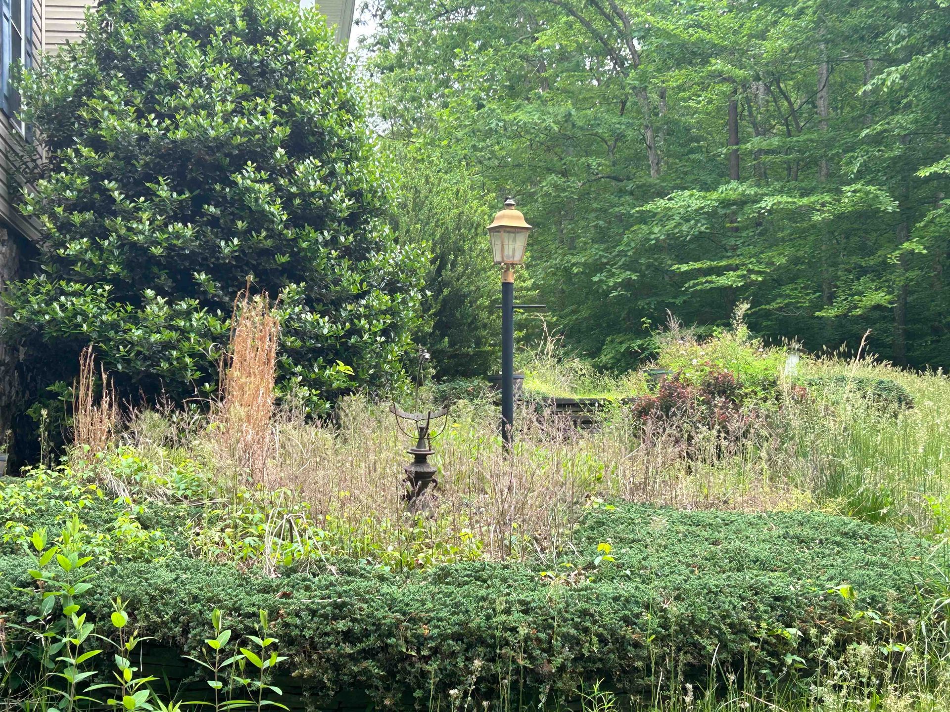 Lush garden with dense green shrubs, wildflowers, and a black lamppost in the center.