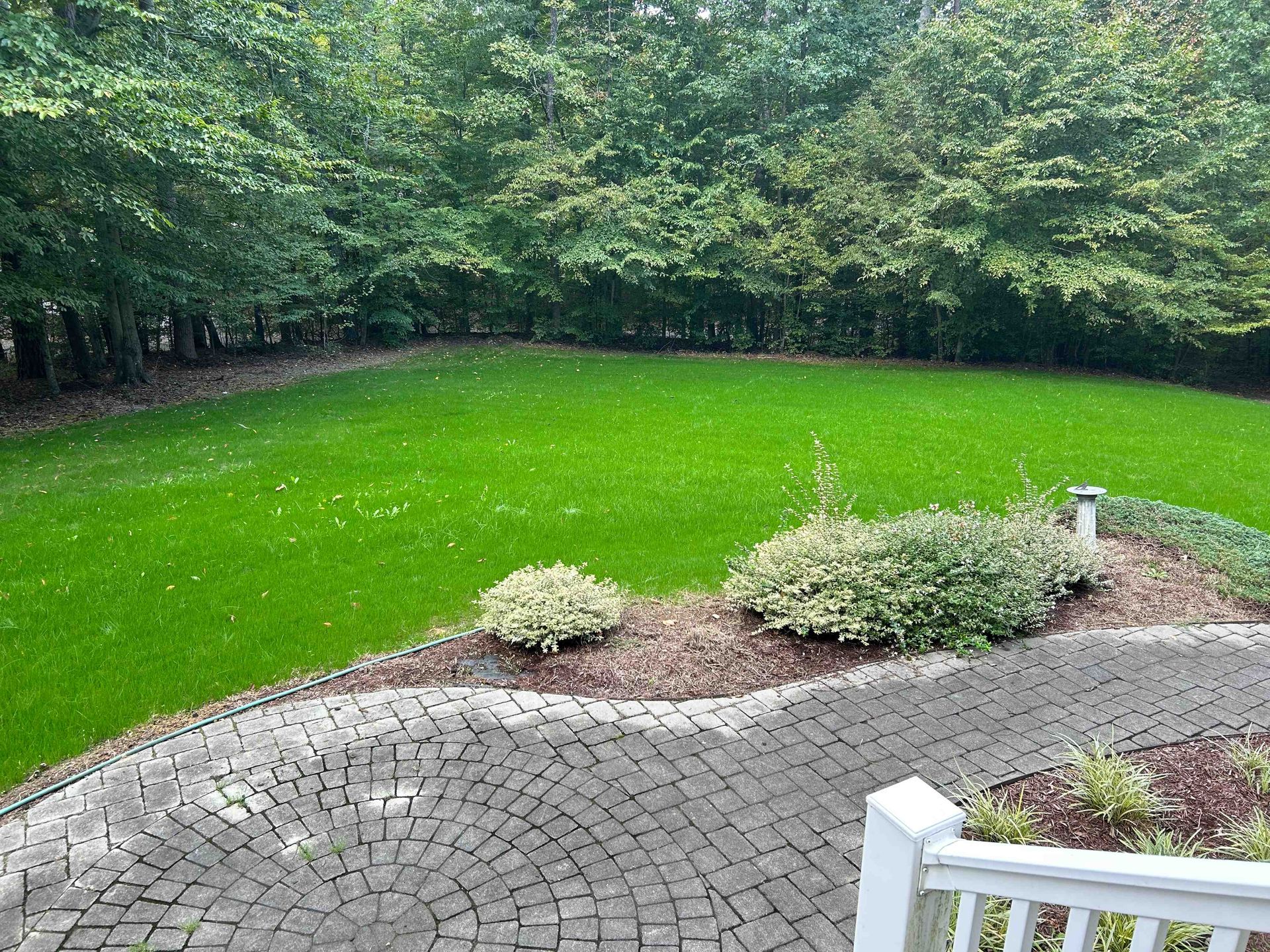 Backyard patio overlooking a bright green lawn and wooded trees