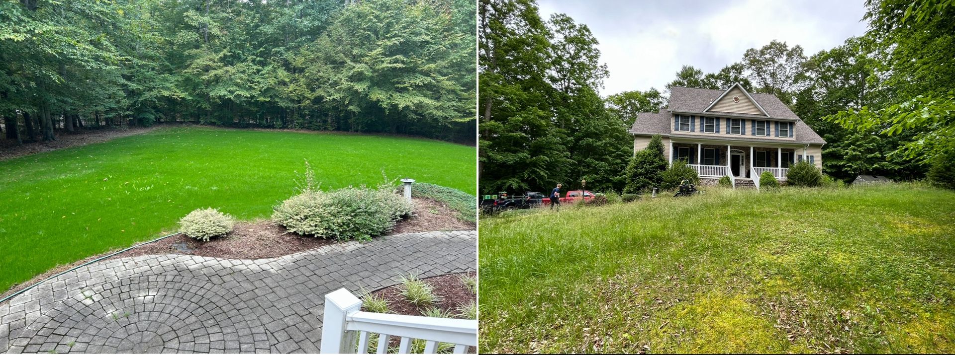 Split view of a landscaped yard with green lawn, flower bed, and a house in the background