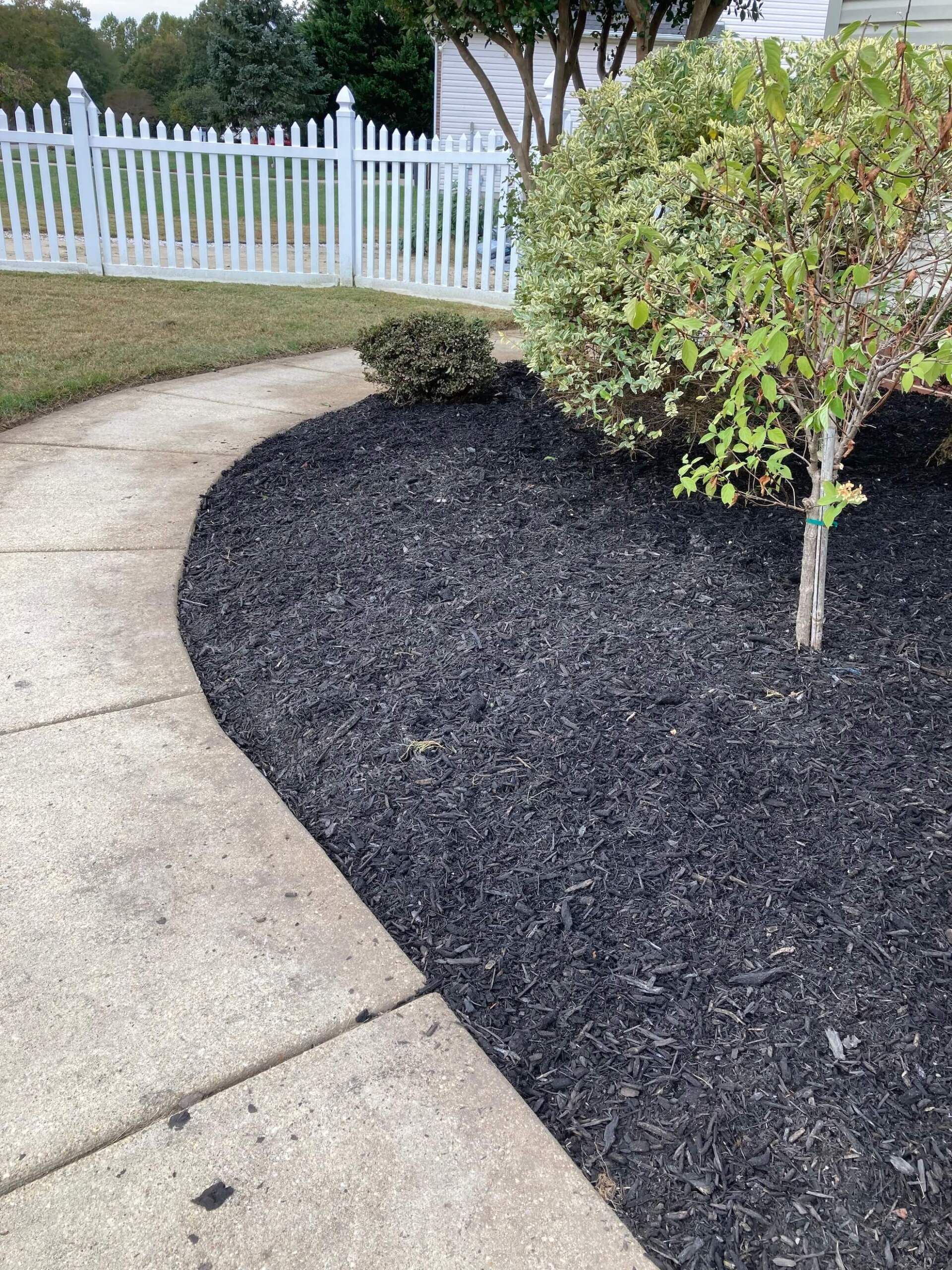 Curved concrete walkway beside black mulch bed, shrubs, and a white picket fence in a yard