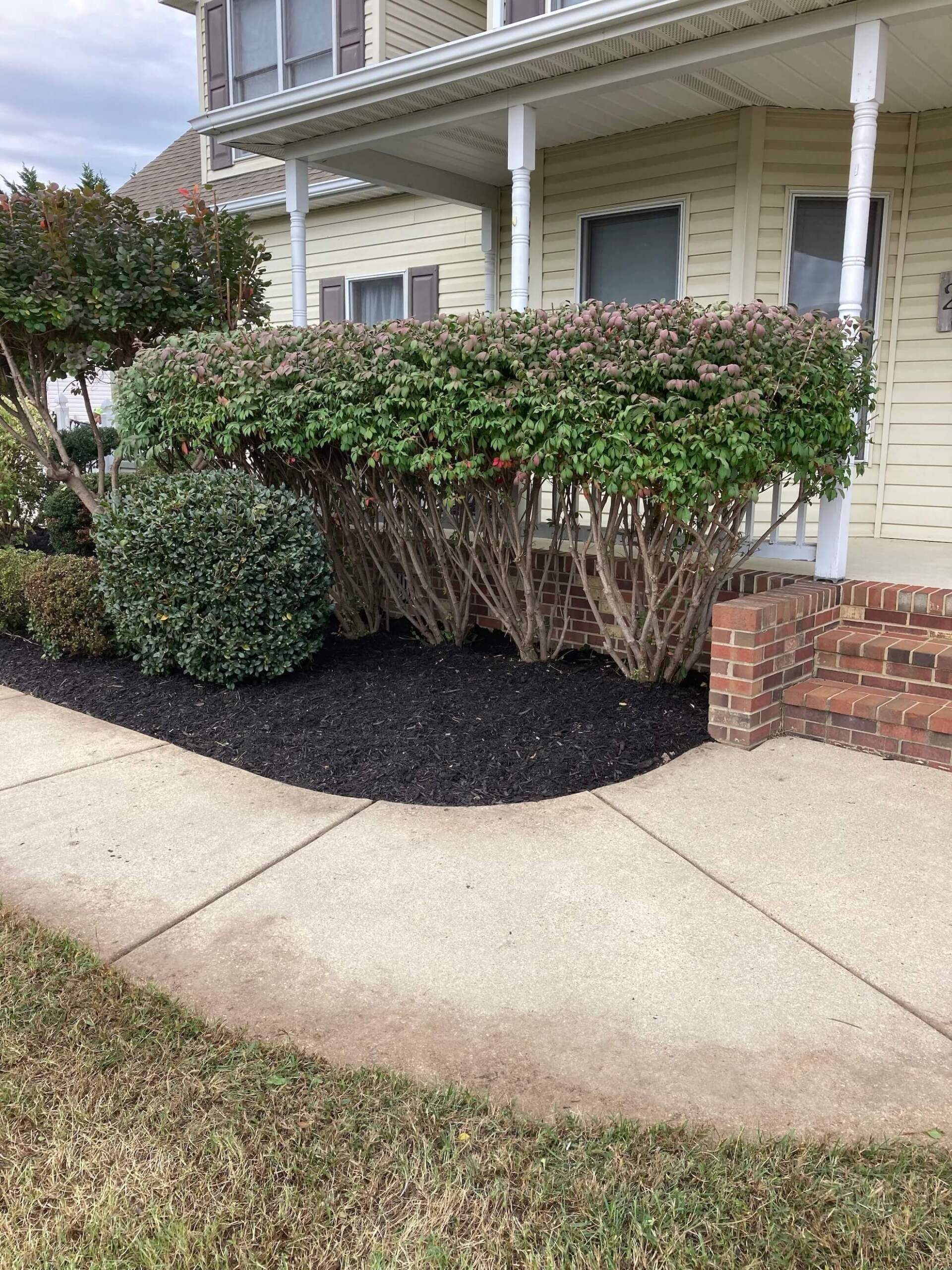 Front porch with trimmed shrubs, mulch bed, and sidewalk beside a brick house