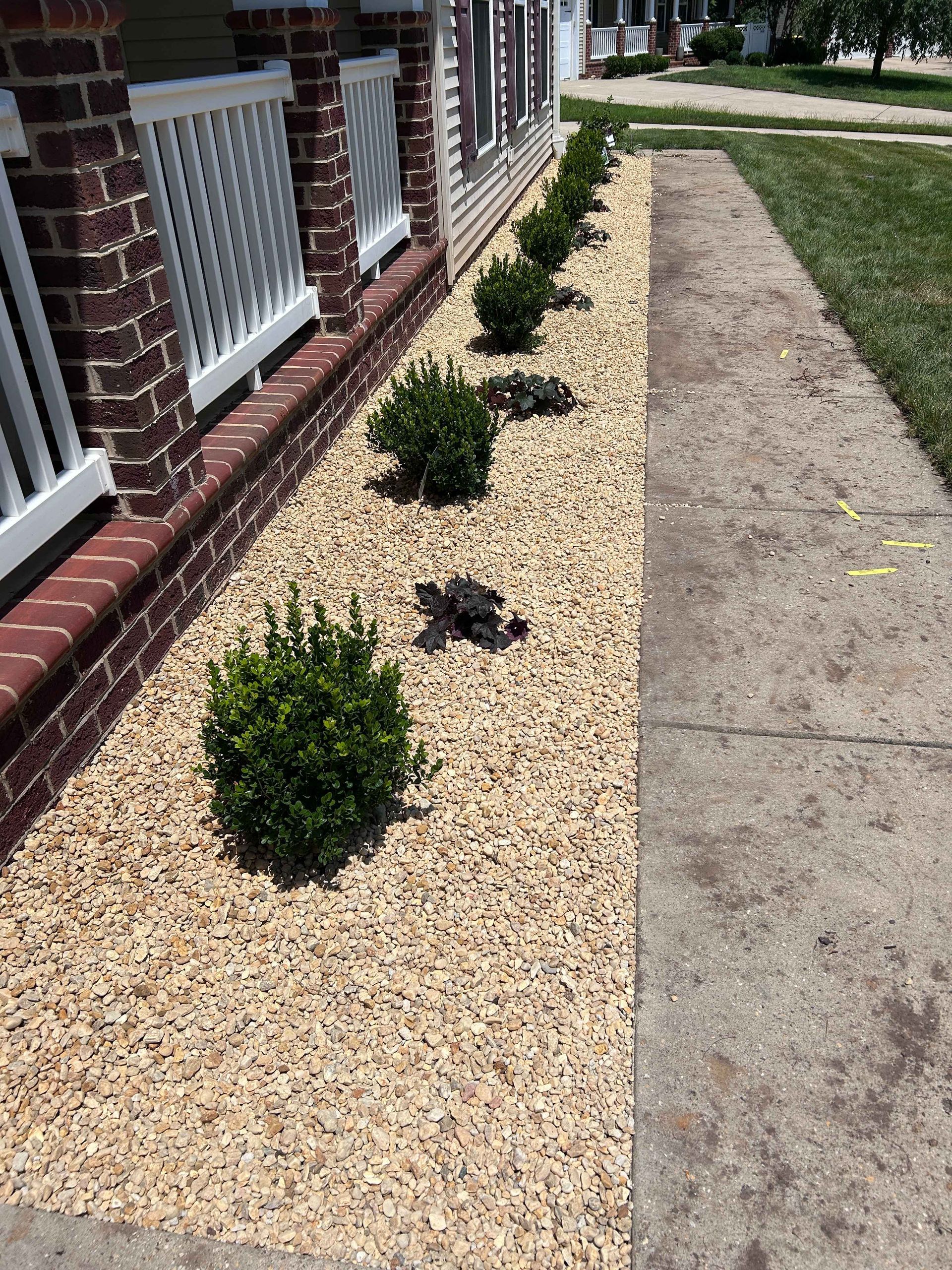 Gravel landscaping bed with small shrubs beside a brick building and sidewalk