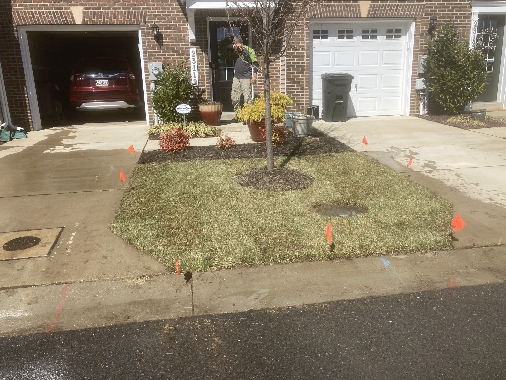Front yard with a newly planted tree and orange survey flags between two brick garages.