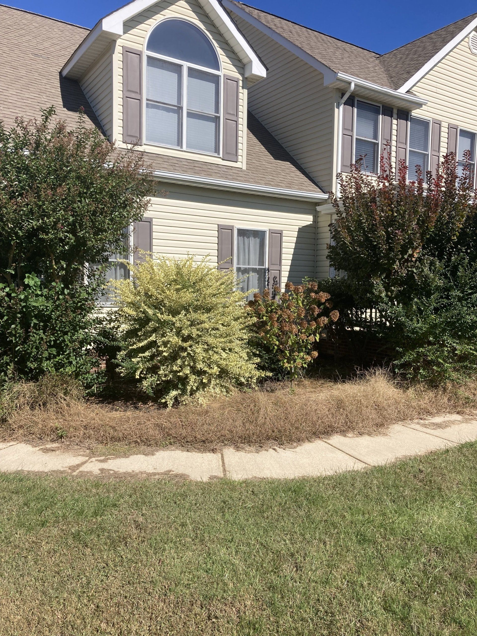 Suburban house exterior with beige siding, dormer windows, shrubs, and a front lawn.