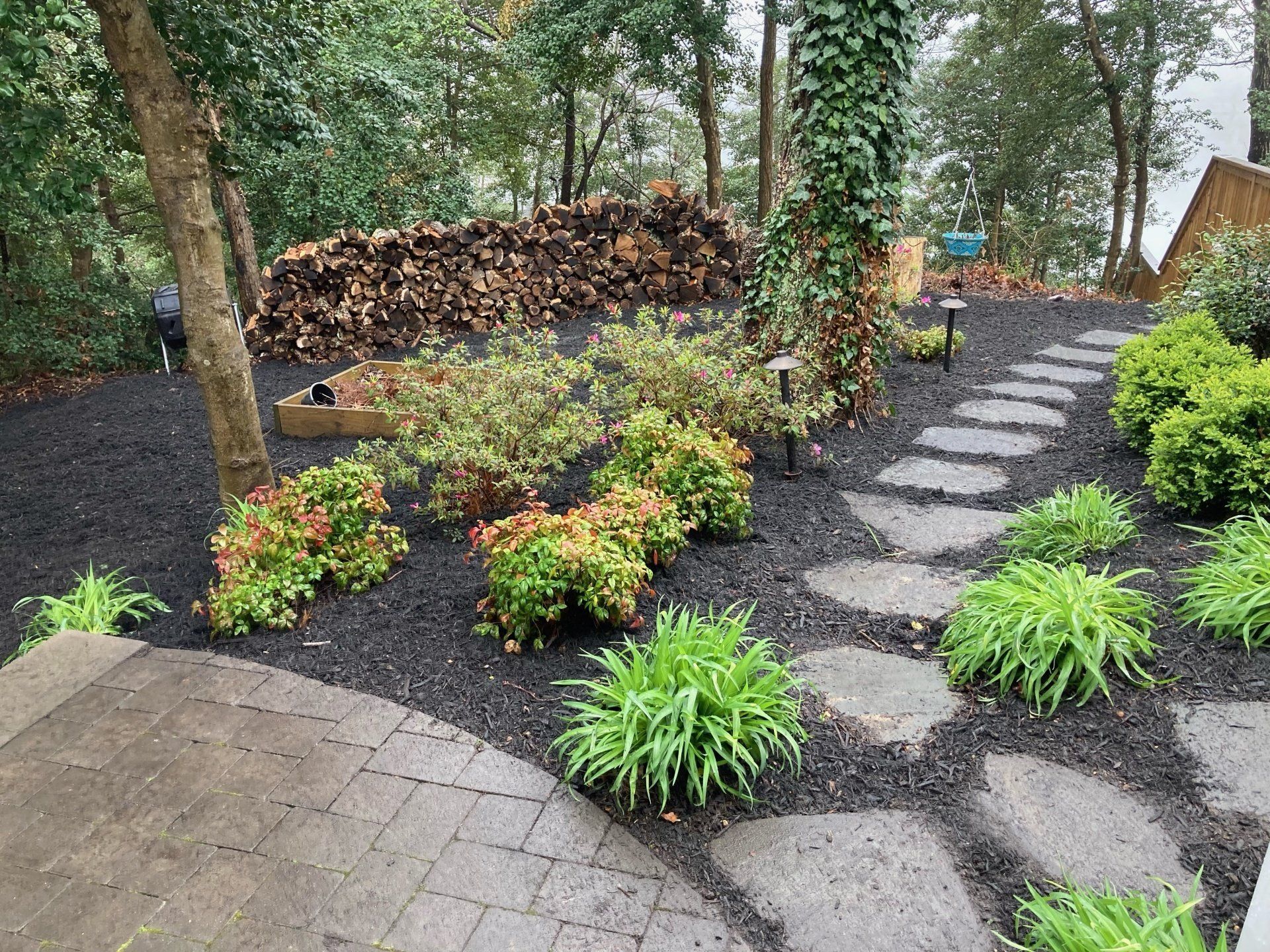 Landscaped garden path with stepping stones, shrubs, trees, and dark mulch beds