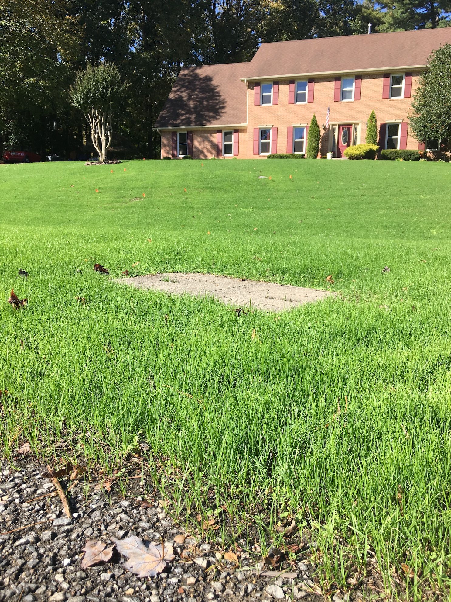Brick building behind a grassy lawn with a concrete slab in the foreground