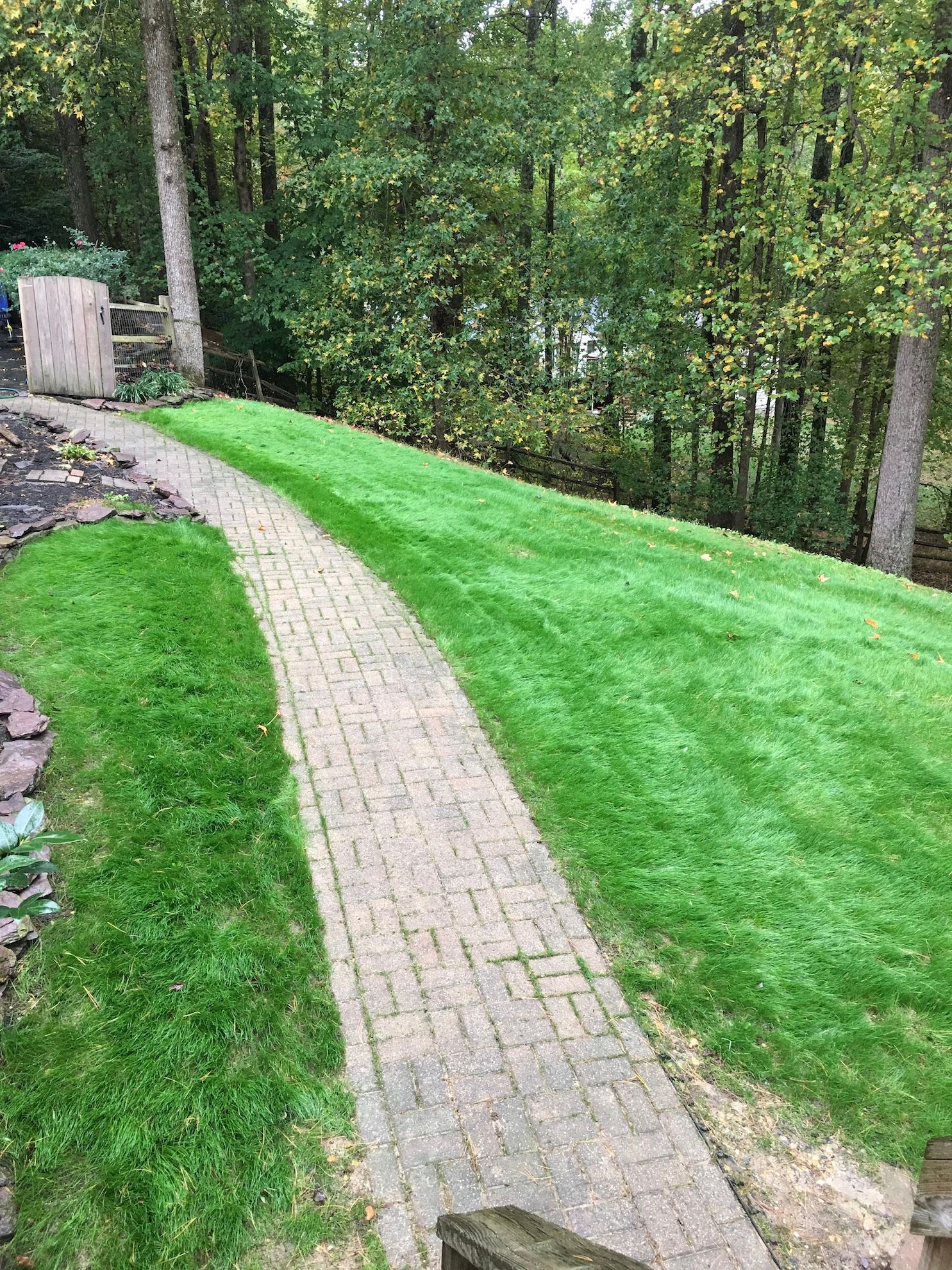 Brick path through a green lawn beside wooded trees