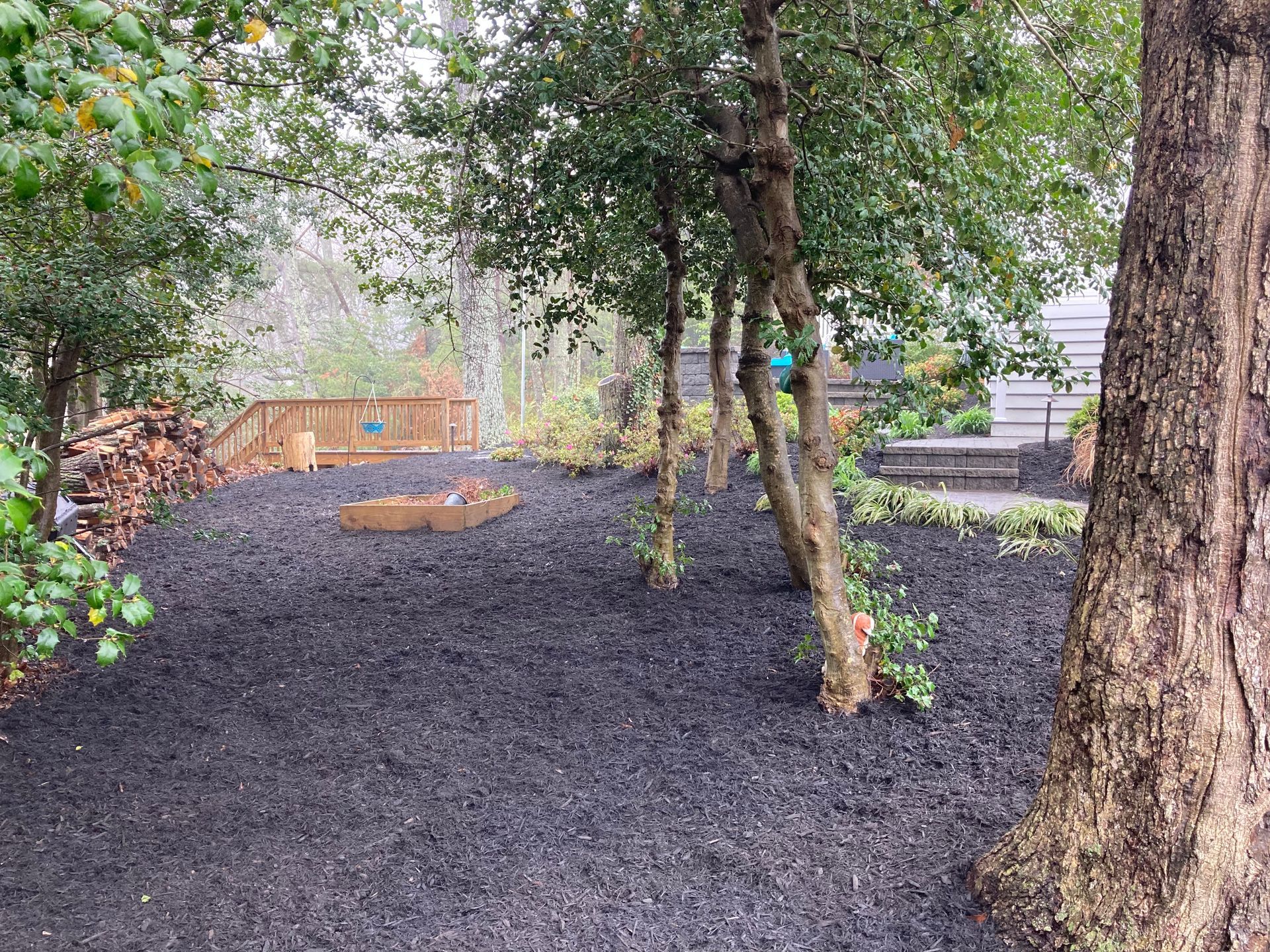 Backyard with dark mulch, trees, a fire pit, and a wooden fence in the background