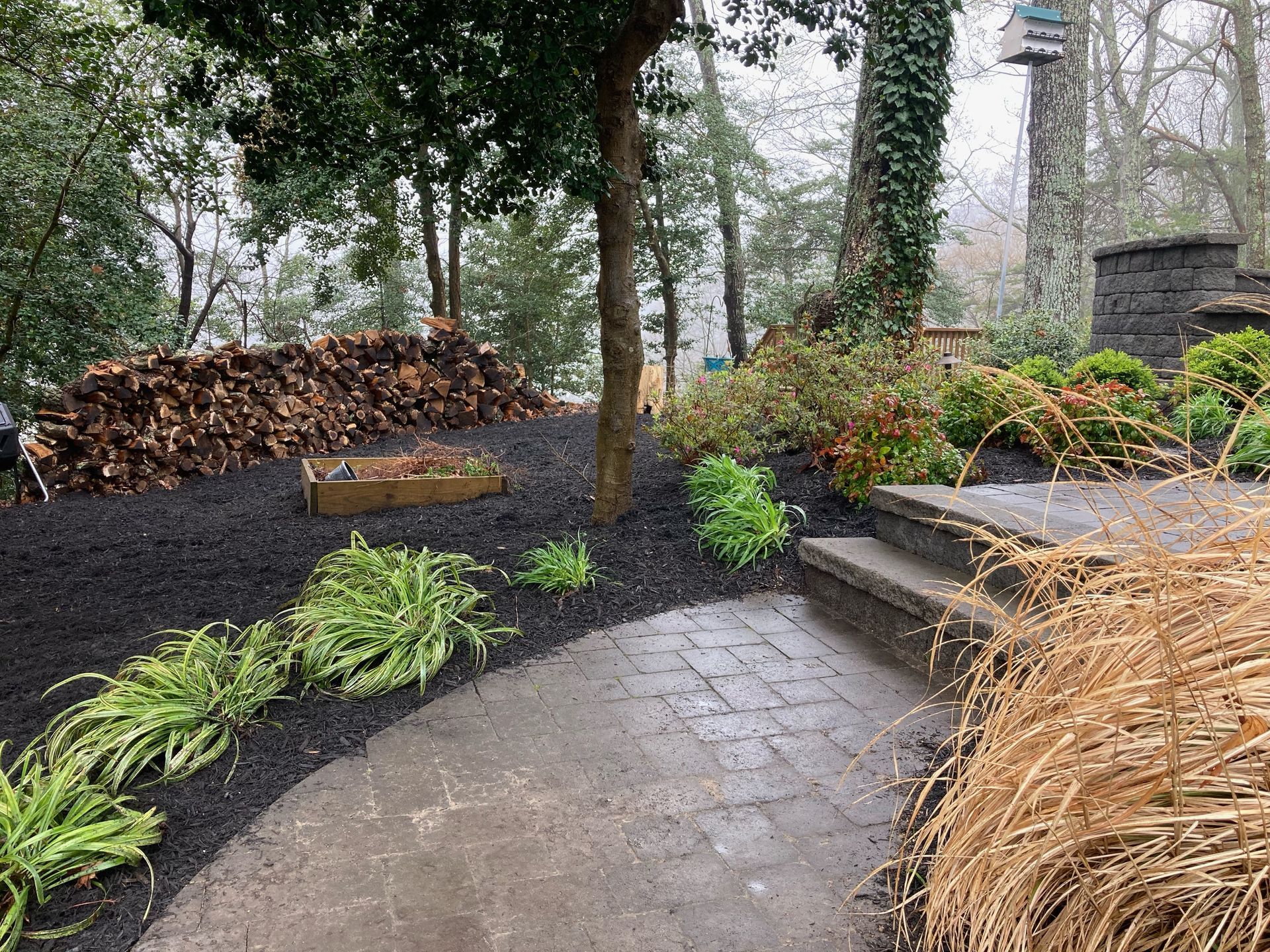 Garden path with wet stone pavers, low green plants, mulch, and trees in a landscaped yard