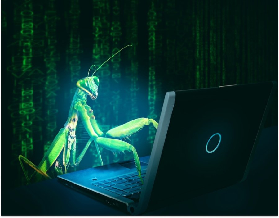 Không có bug gần như đã trở thành điều phi thực tế trong quá trình làm việc của Developer