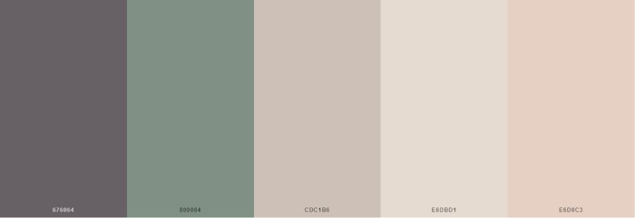 Bảng màu Plain Neutral