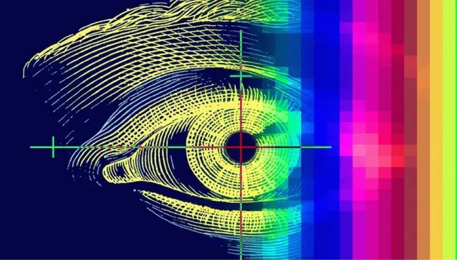 Màu sắc có thể khơi gợi lên những phản ứng tân lý Màu sắc có thể khơi gợi lên những phản ứng tân lý