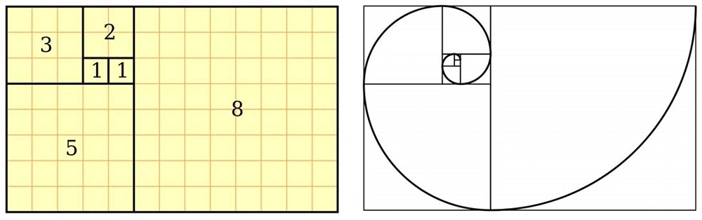 Xoắn ốc tỷ lệ vàng