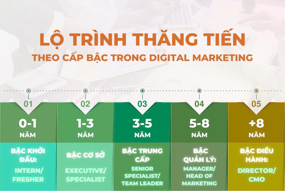 Lộ trình thăng tiến theo cấp bậc digital marketing