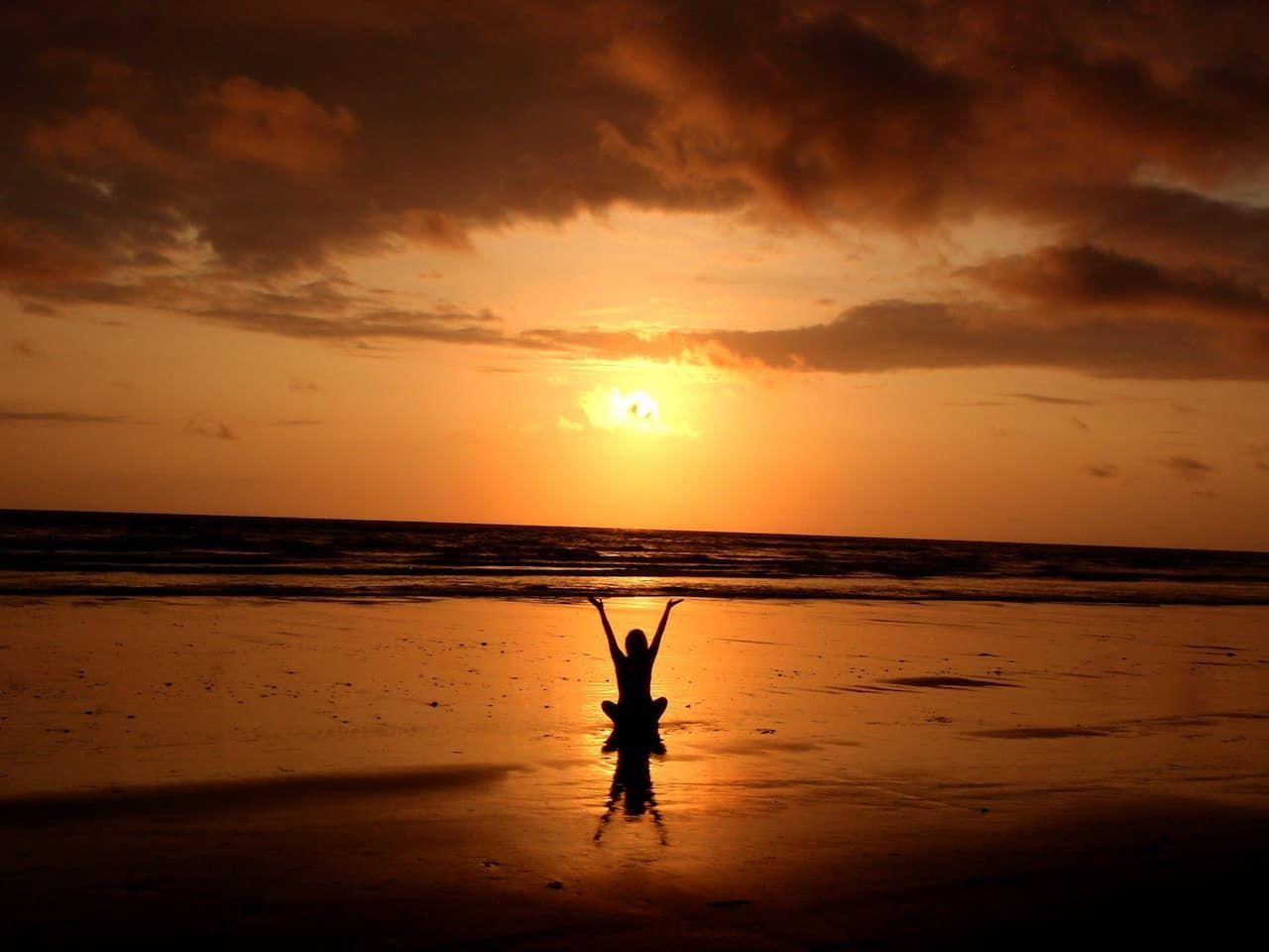 Somatic Mind Body Psychotherapy