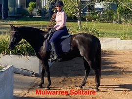 Mulwarree Solitaire