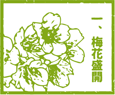 綠色圖案:梅花,旁邊有漢字「梅花盛開」。