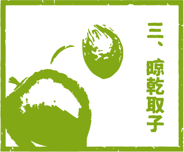 綠色插圖:兩種水果形狀,日文文字:「San, Kan tori ko」。